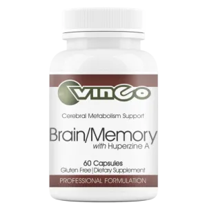 Brain Memory