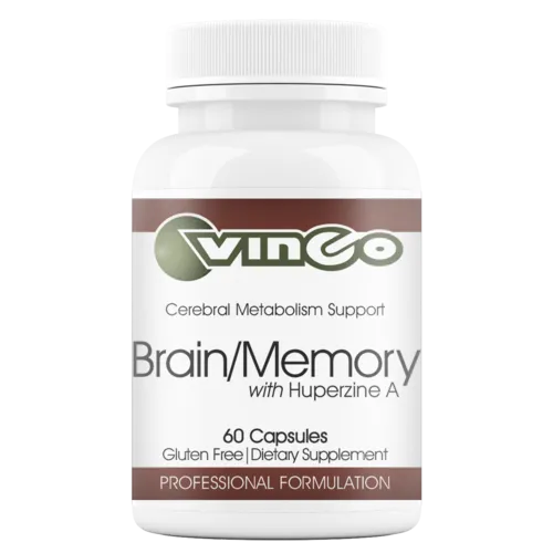 Brain Memory