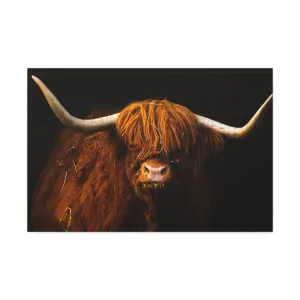 Canvas Gallery Wraps Highland Cow Wall Art