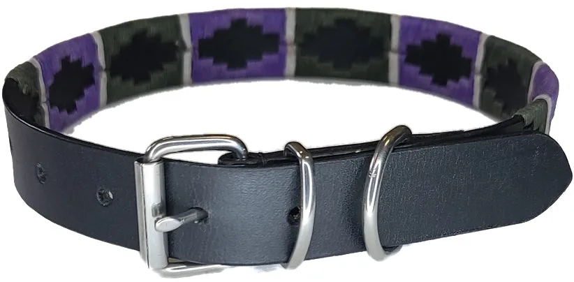 Gaucho Dog Collar Hunter Green and Purple Black or Brown Leather Options