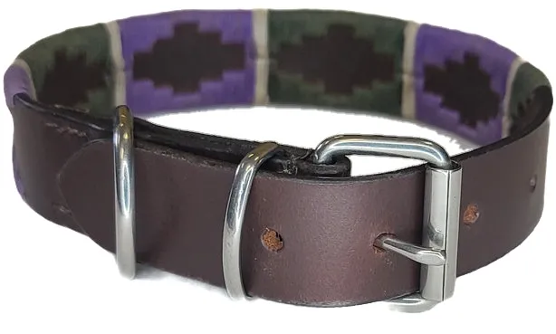 Gaucho Dog Collar Hunter Green and Purple Black or Brown Leather Options