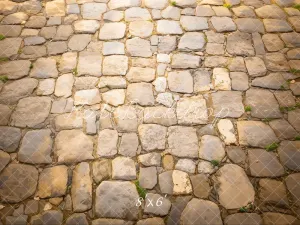 Kate Rustic Cobblestone Floor Fleece Backdrop Designed by Emetselch