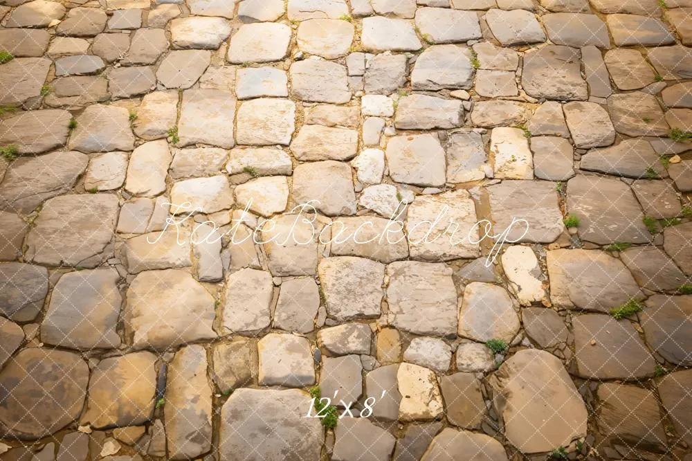 Kate Rustic Cobblestone Floor Fleece Backdrop Designed by Emetselch