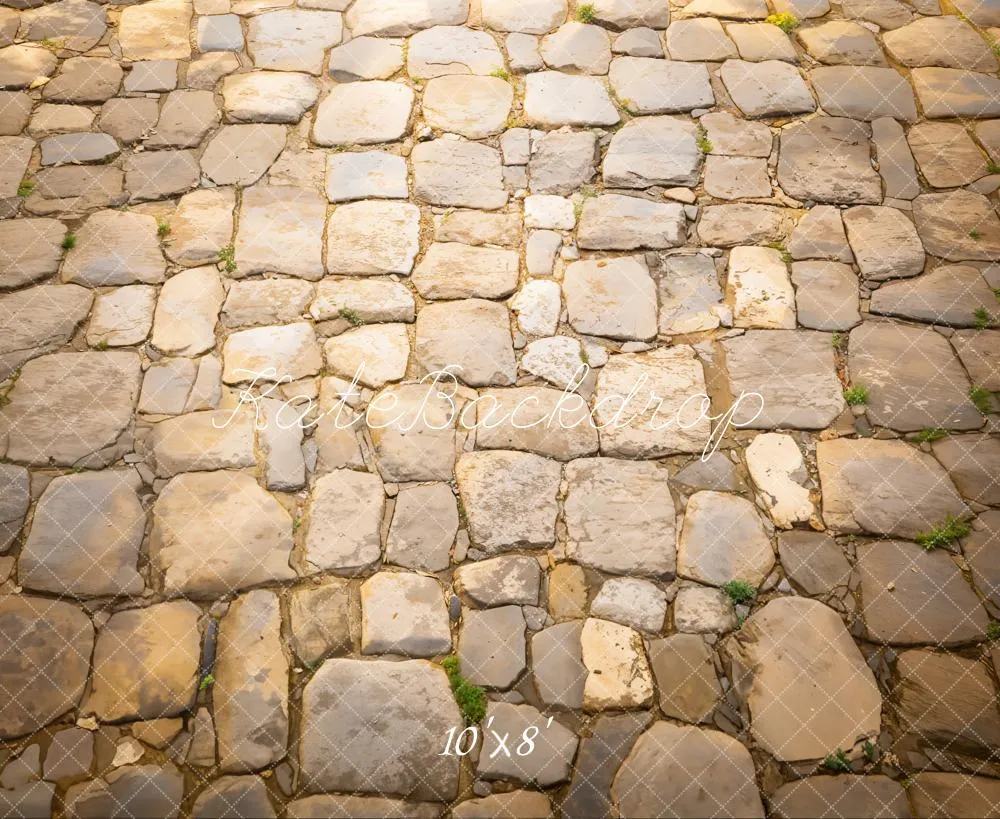 Kate Rustic Cobblestone Floor Fleece Backdrop Designed by Emetselch