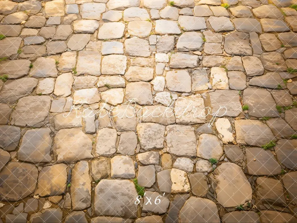 Kate Rustic Cobblestone Floor Fleece Backdrop Designed by Emetselch