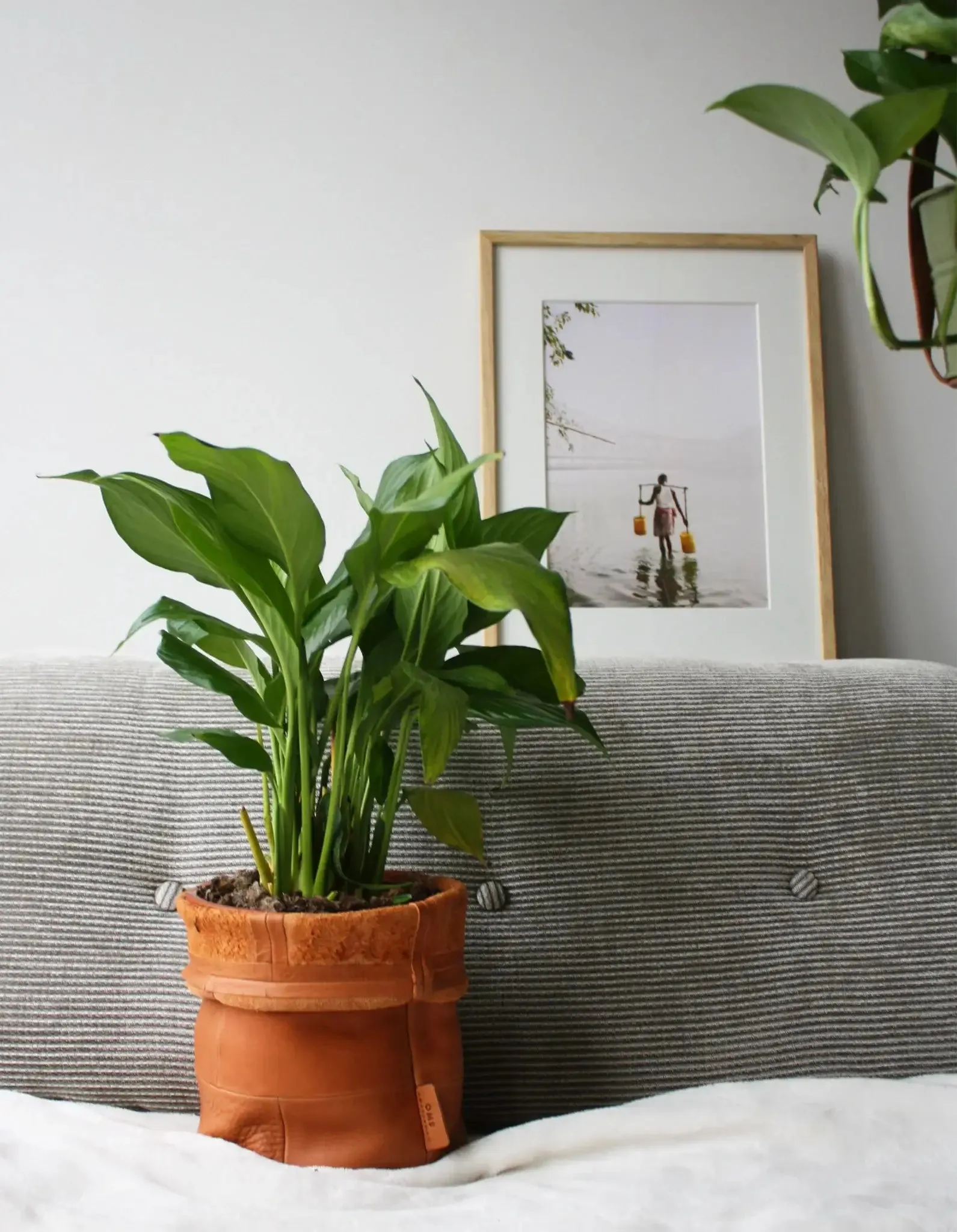 Leather Pot Soft Grain Leather