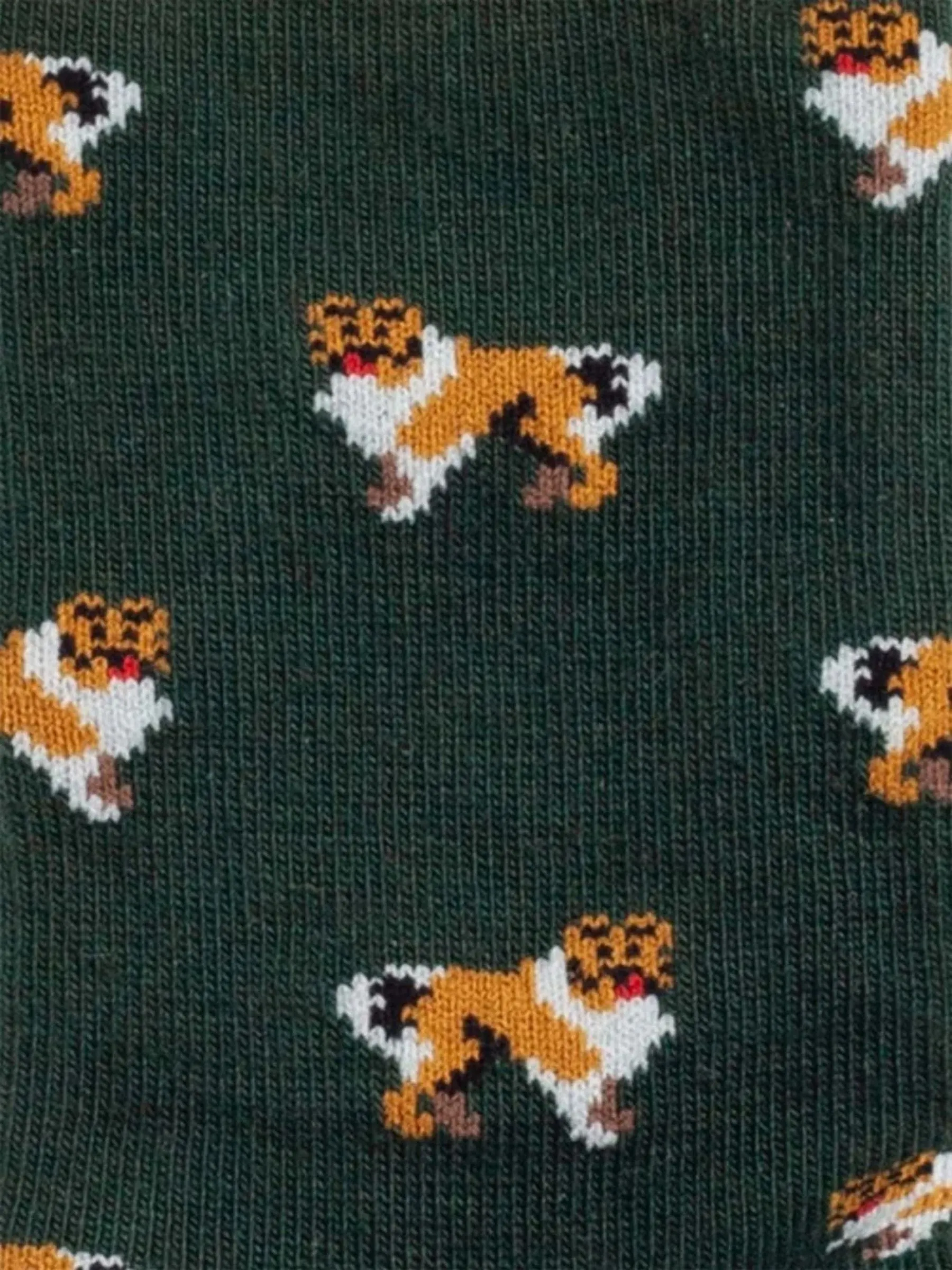Lil Who let the Dogs out Socks | Dillysocks