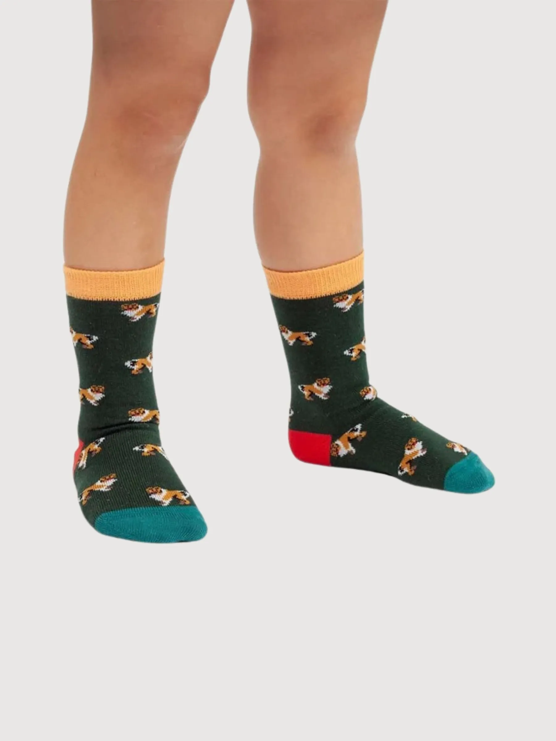 Lil Who let the Dogs out Socks | Dillysocks