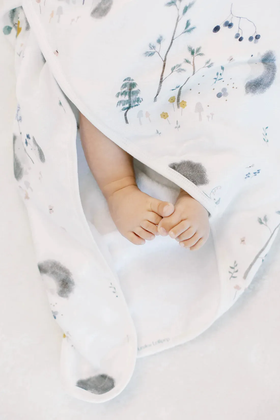 Loulou Lollipop Hooded Towel and Washcloth Set - Hedgehogs
