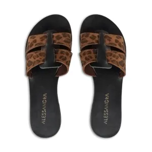 Milia-Alonissos || Leopard