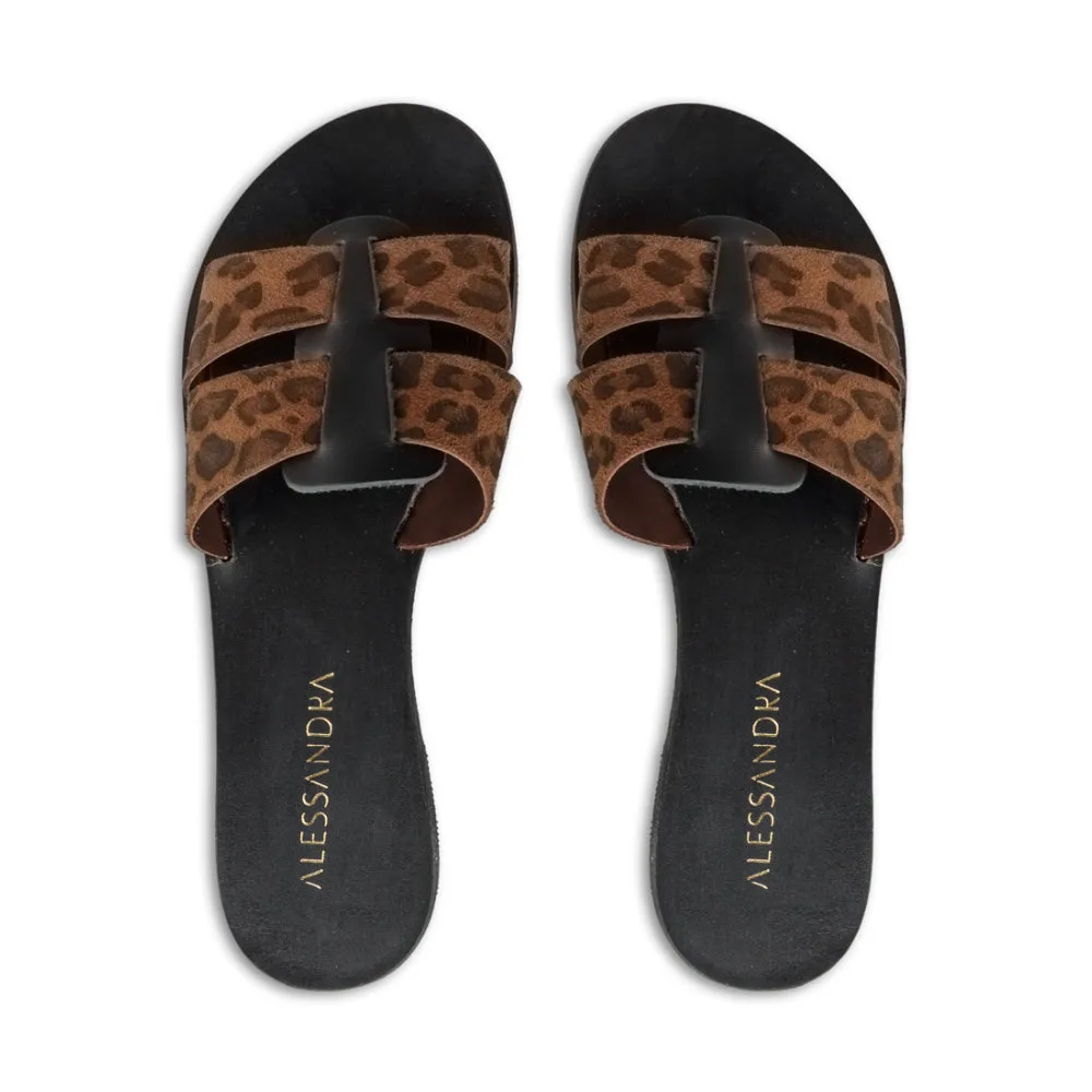 Milia-Alonissos || Leopard