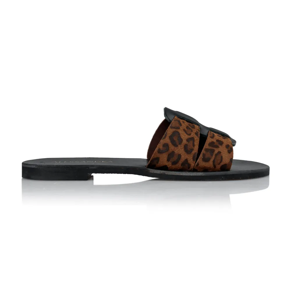 Milia-Alonissos || Leopard