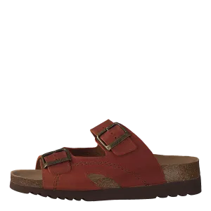 Moldava Rust