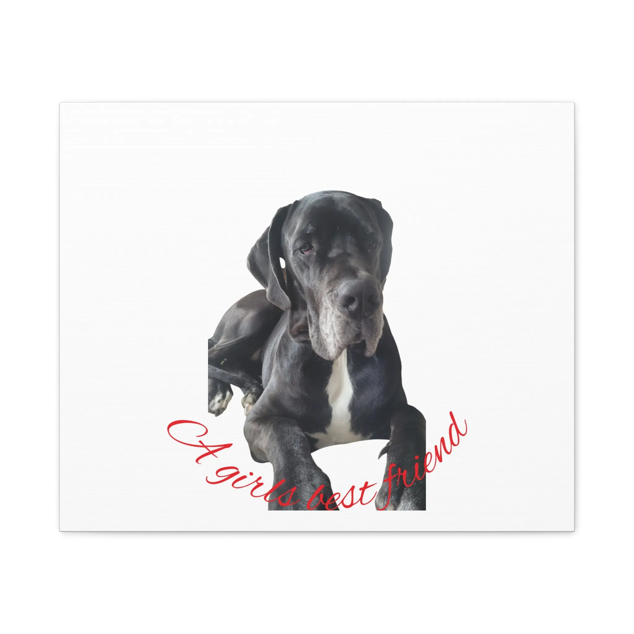 Personalized Dog Portrait Canvas Art - Custom Matte Wall Decor