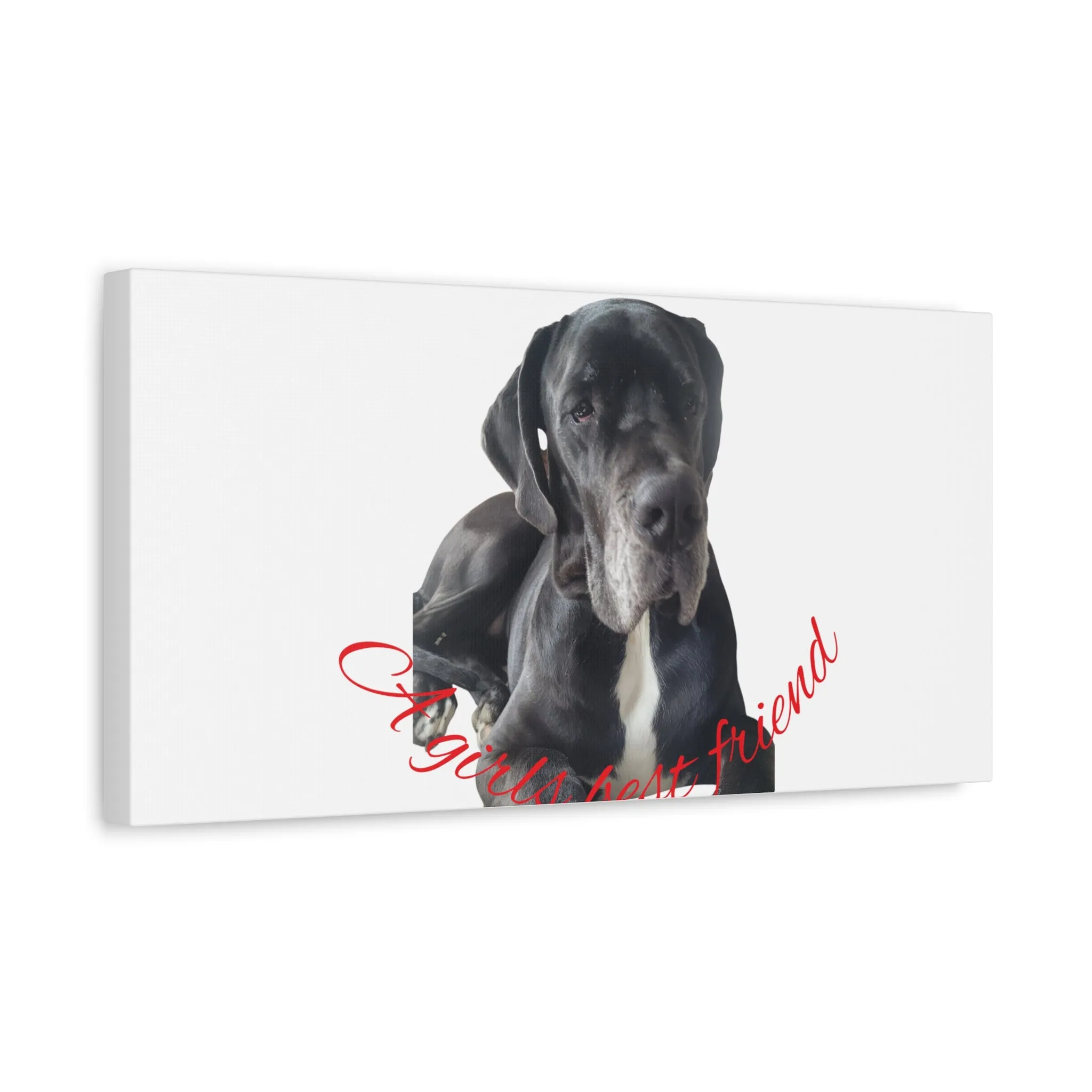 Personalized Dog Portrait Canvas Art - Custom Matte Wall Decor
