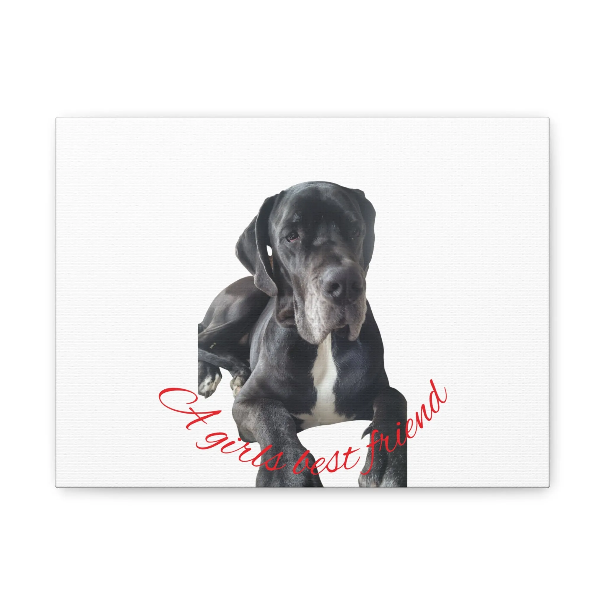Personalized Dog Portrait Canvas Art - Custom Matte Wall Decor