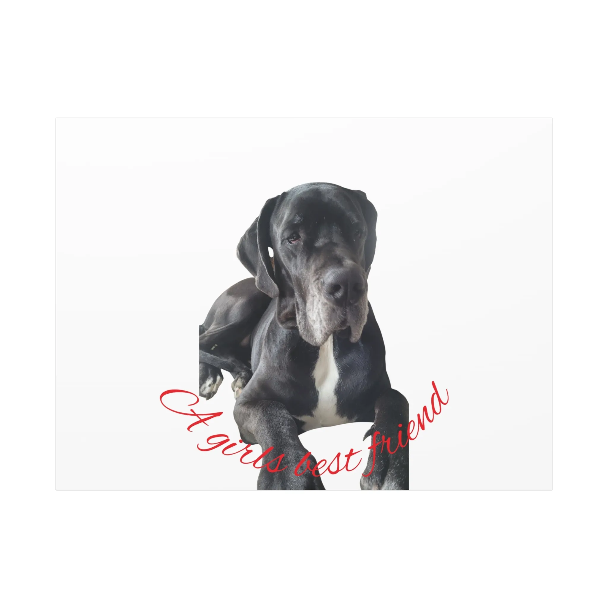 Personalized Dog Portrait Canvas Art - Custom Matte Wall Decor