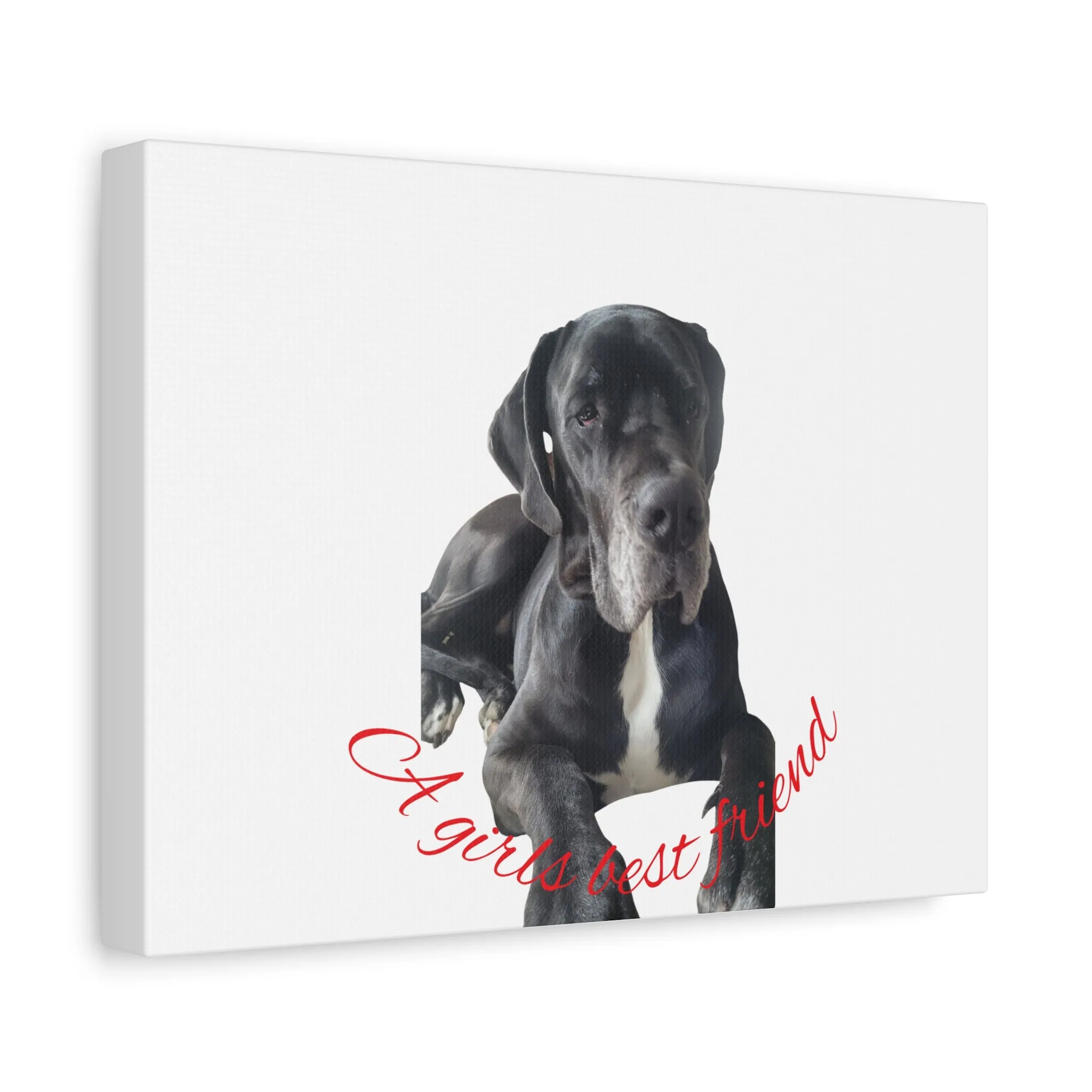 Personalized Dog Portrait Canvas Art - Custom Matte Wall Decor