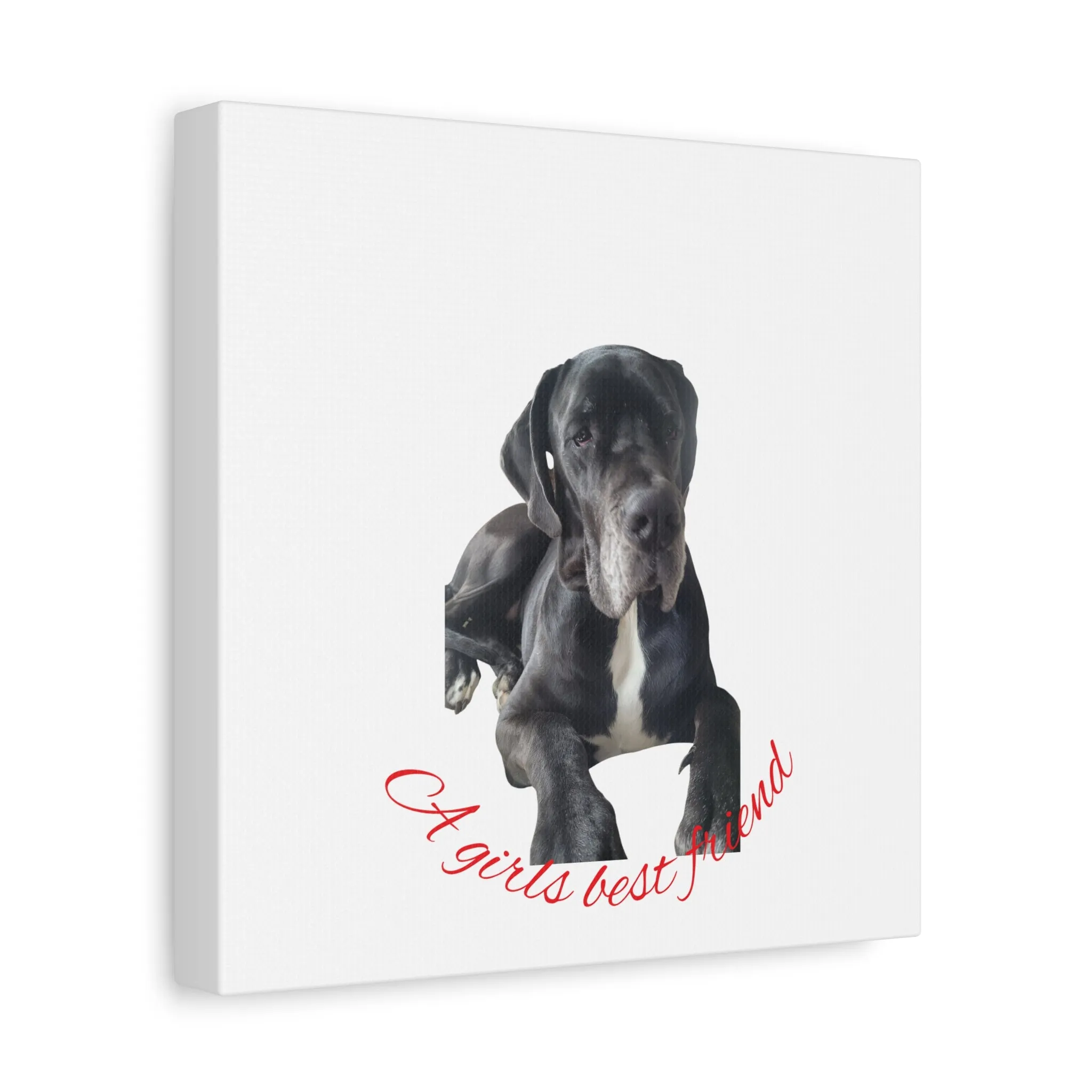 Personalized Dog Portrait Canvas Art - Custom Matte Wall Decor