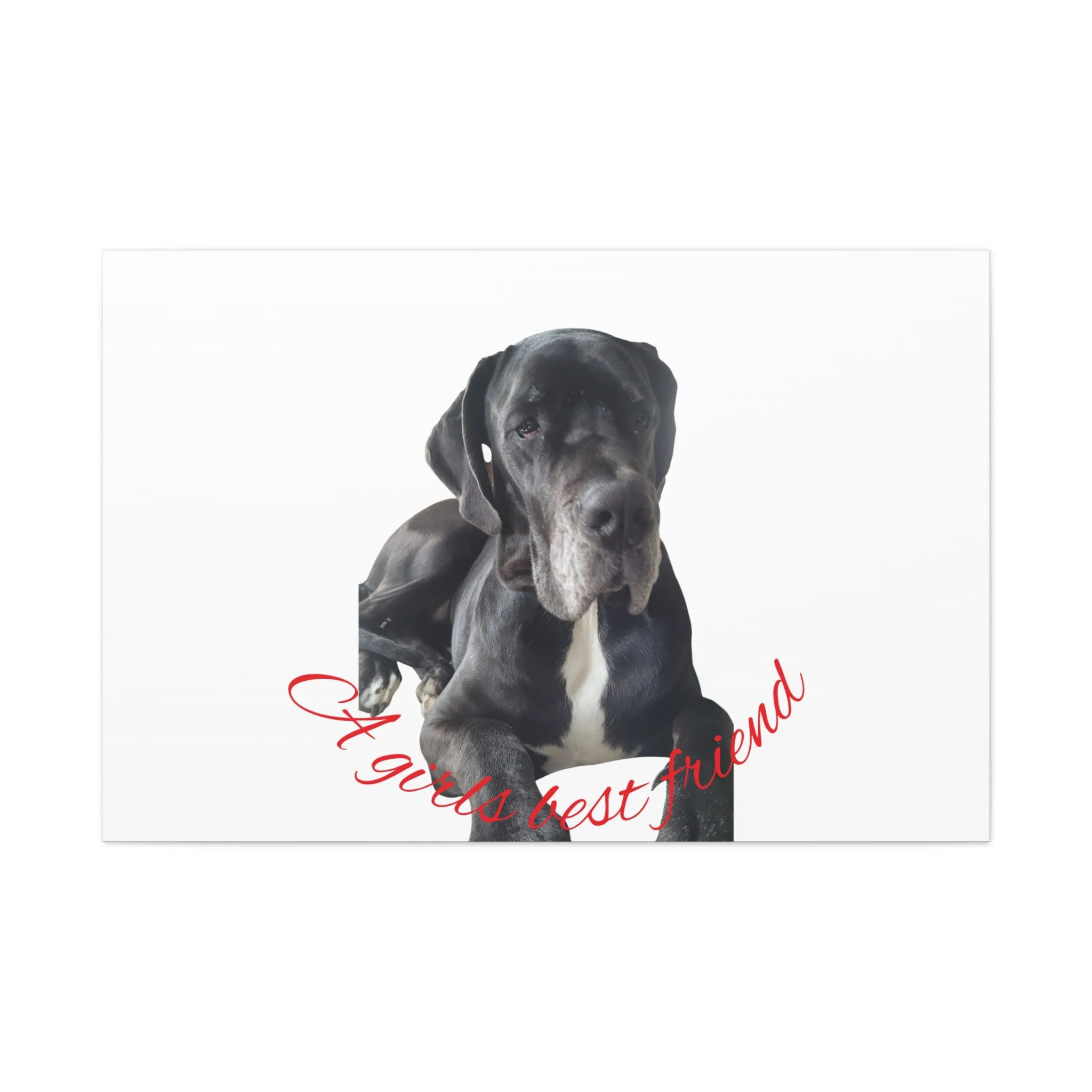 Personalized Dog Portrait Canvas Art - Custom Matte Wall Decor