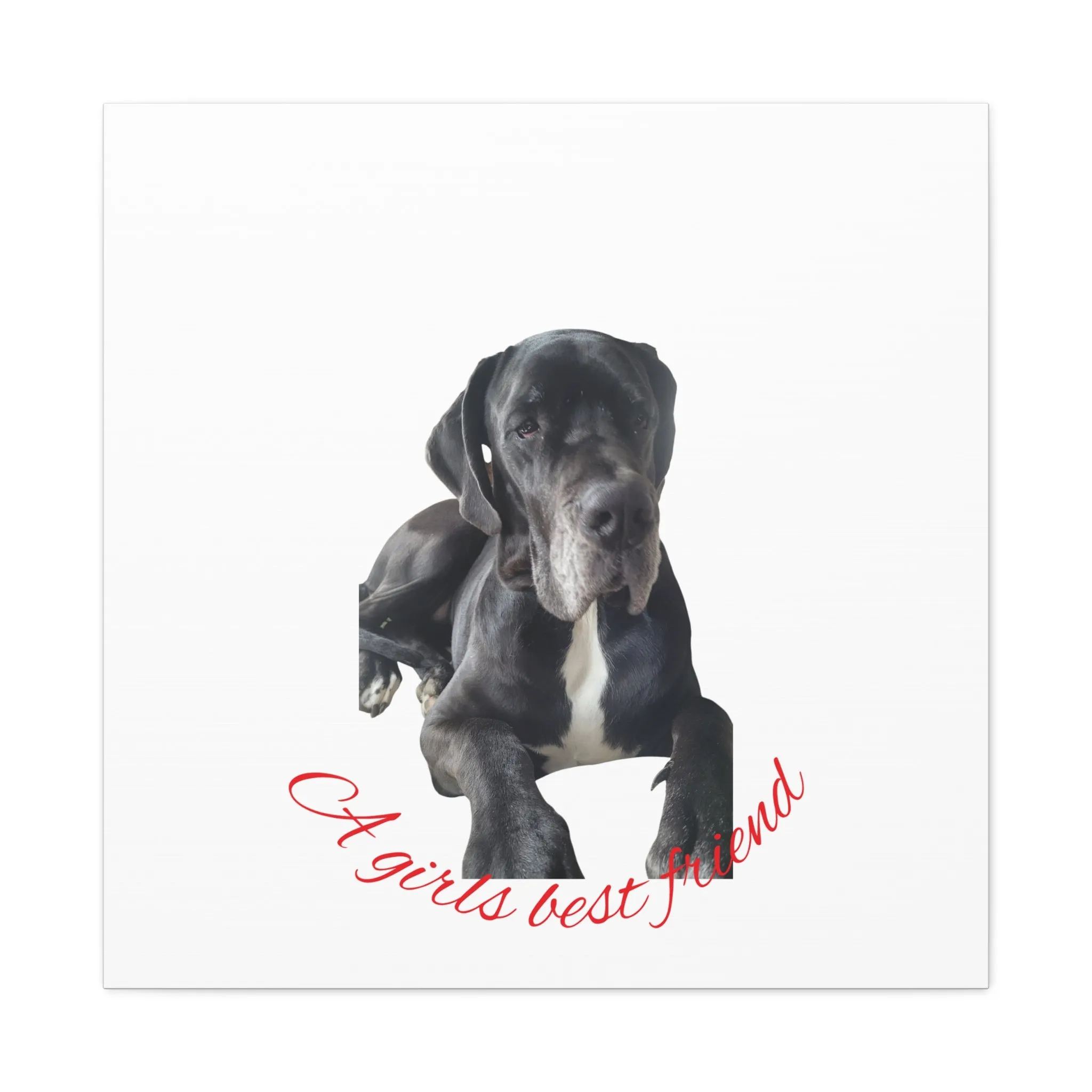 Personalized Dog Portrait Canvas Art - Custom Matte Wall Decor