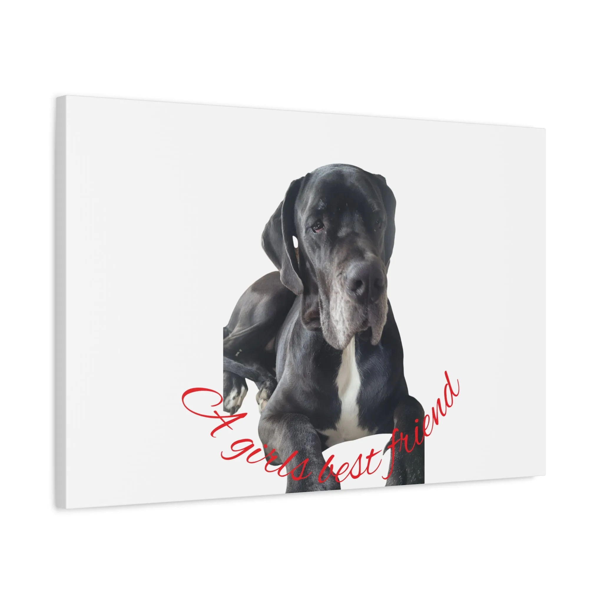 Personalized Dog Portrait Canvas Art - Custom Matte Wall Decor