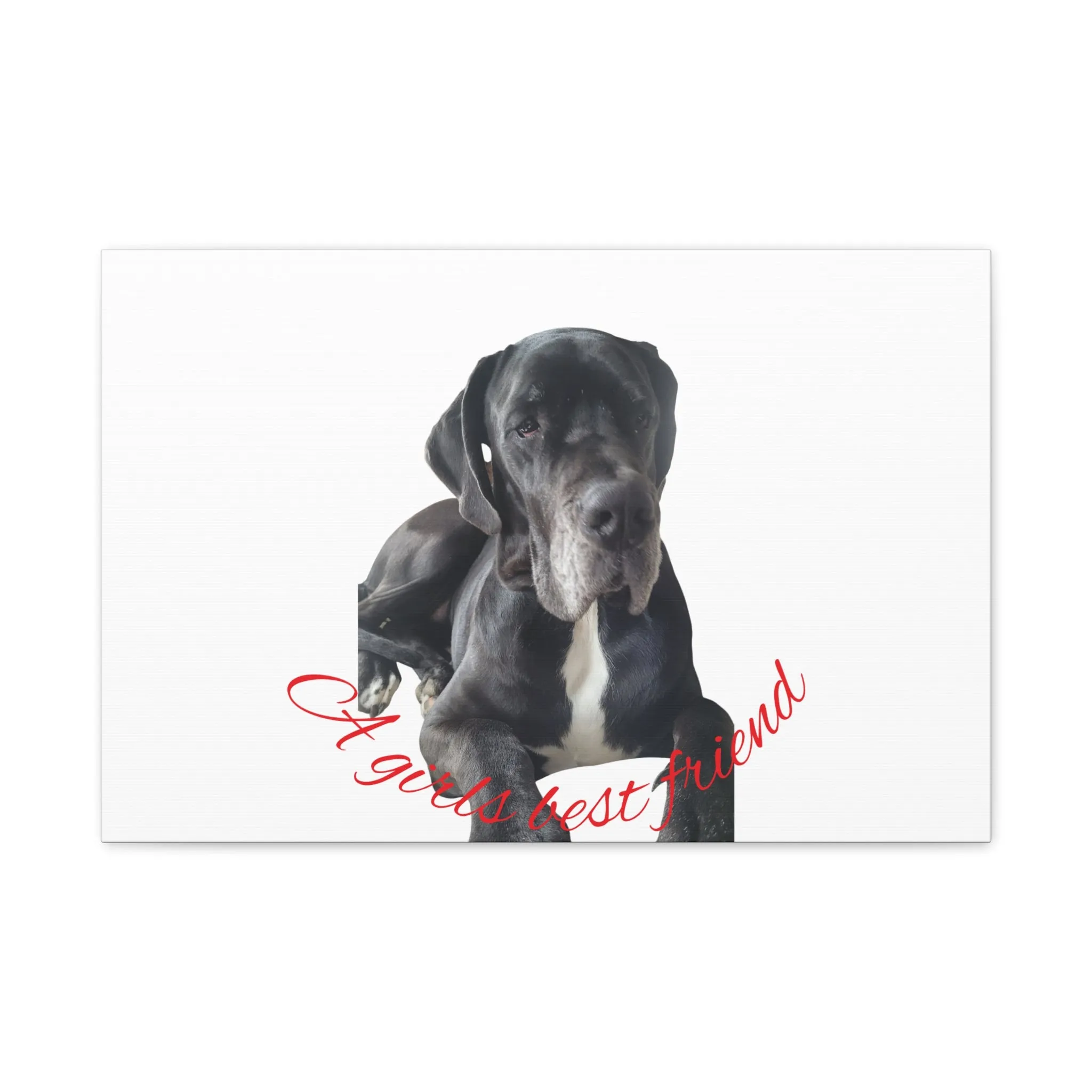 Personalized Dog Portrait Canvas Art - Custom Matte Wall Decor