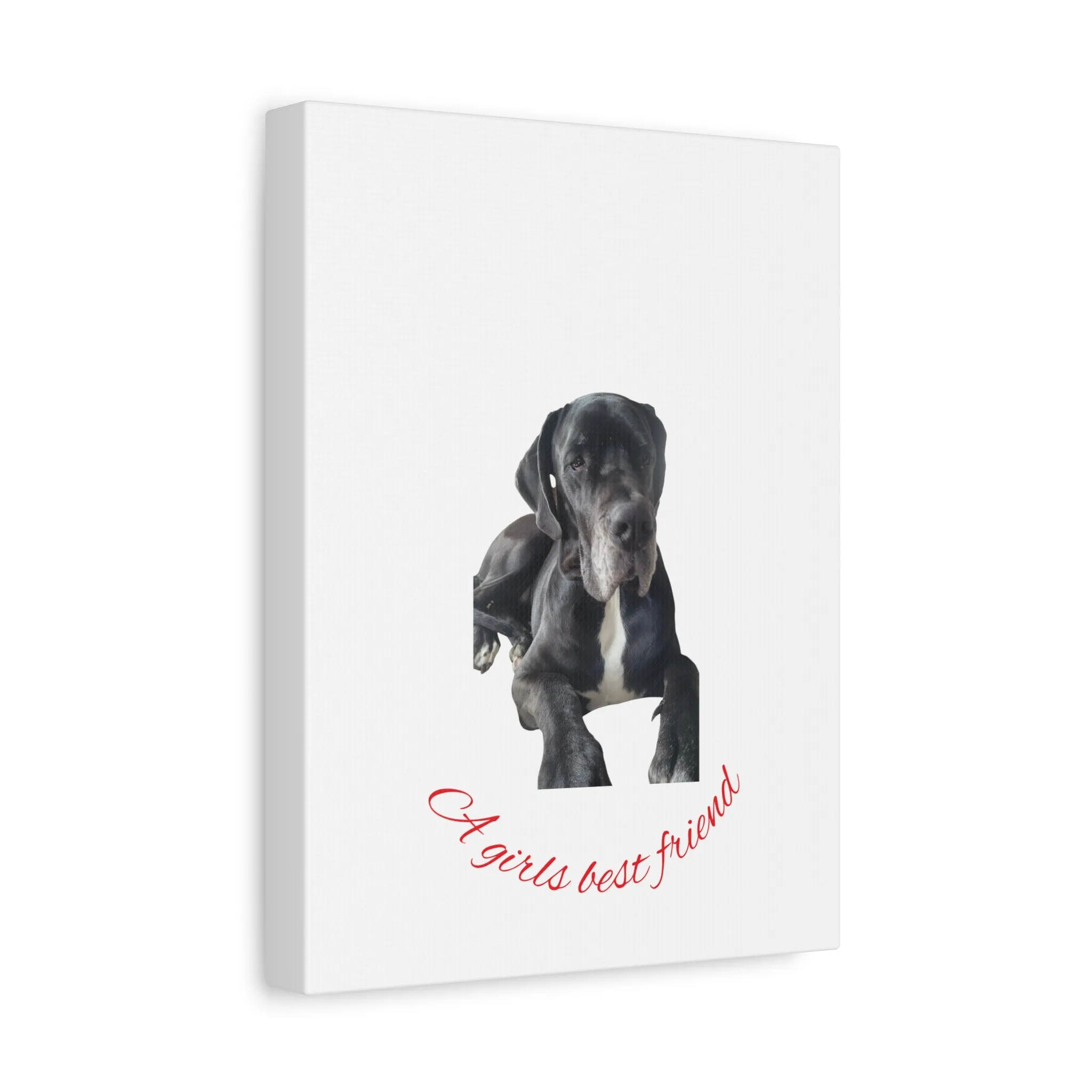 Personalized Dog Portrait Canvas Art - Custom Matte Wall Decor