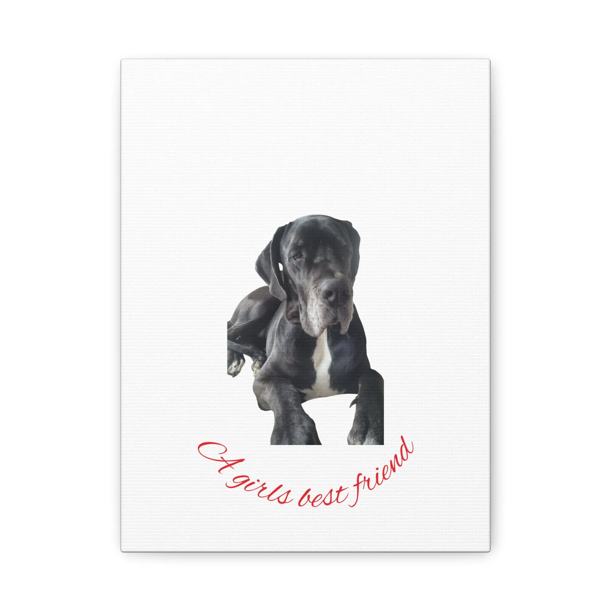 Personalized Dog Portrait Canvas Art - Custom Matte Wall Decor