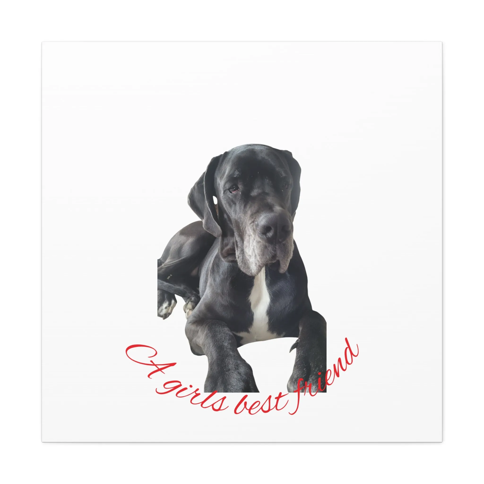 Personalized Dog Portrait Canvas Art - Custom Matte Wall Decor