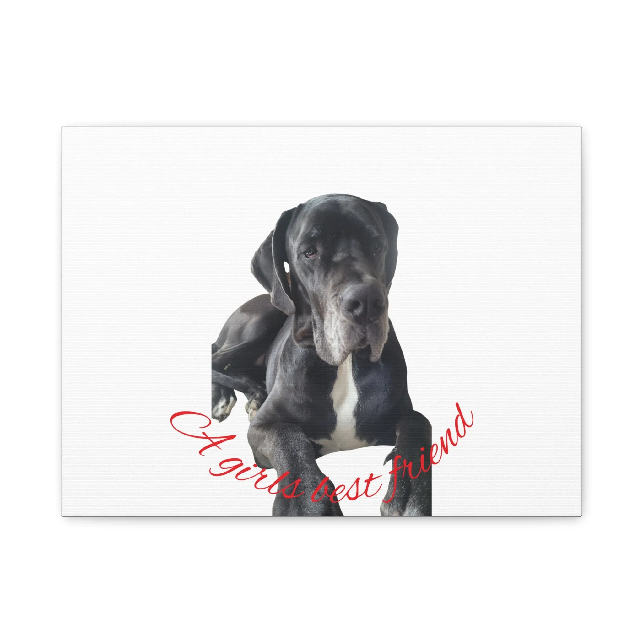 Personalized Dog Portrait Canvas Art - Custom Matte Wall Decor