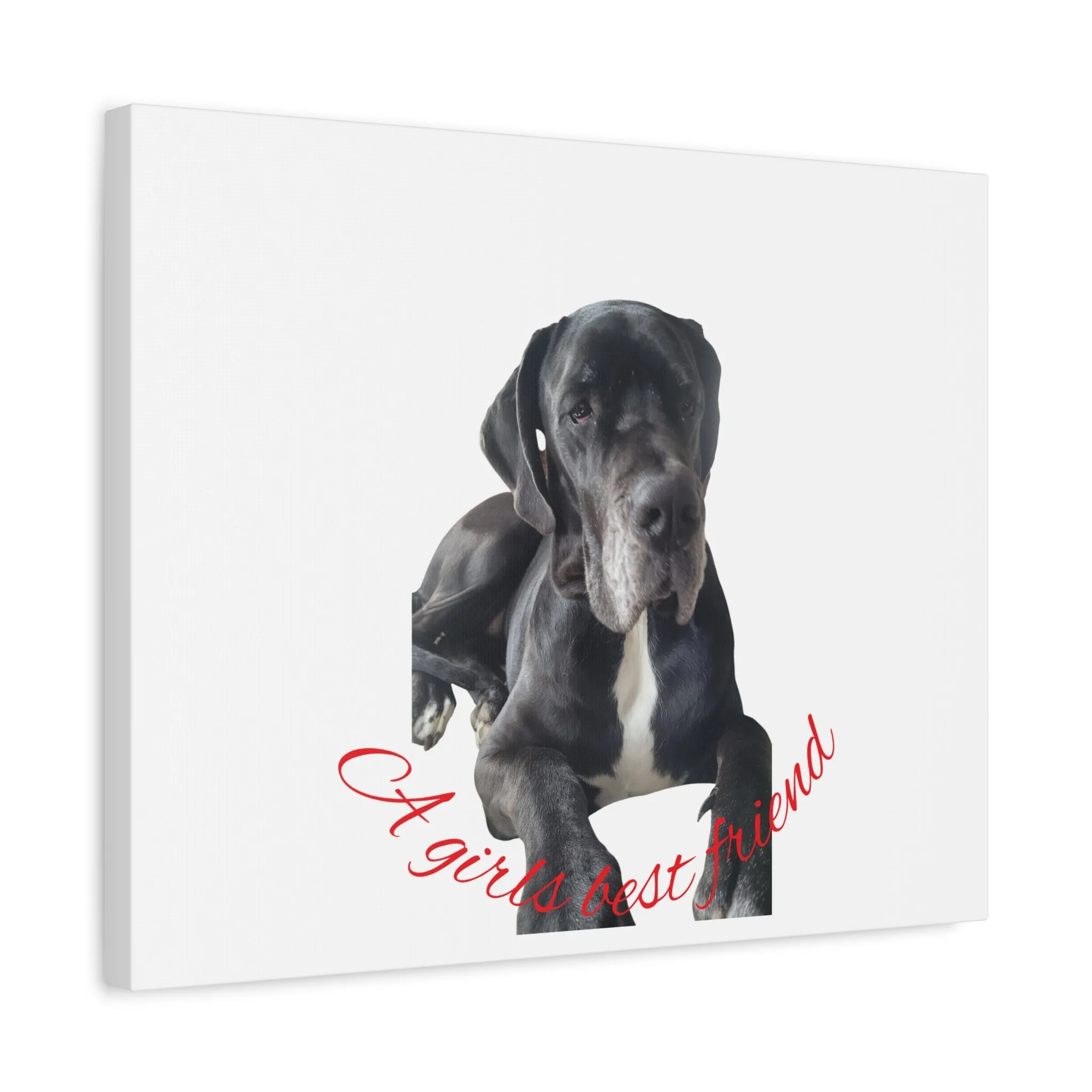 Personalized Dog Portrait Canvas Art - Custom Matte Wall Decor