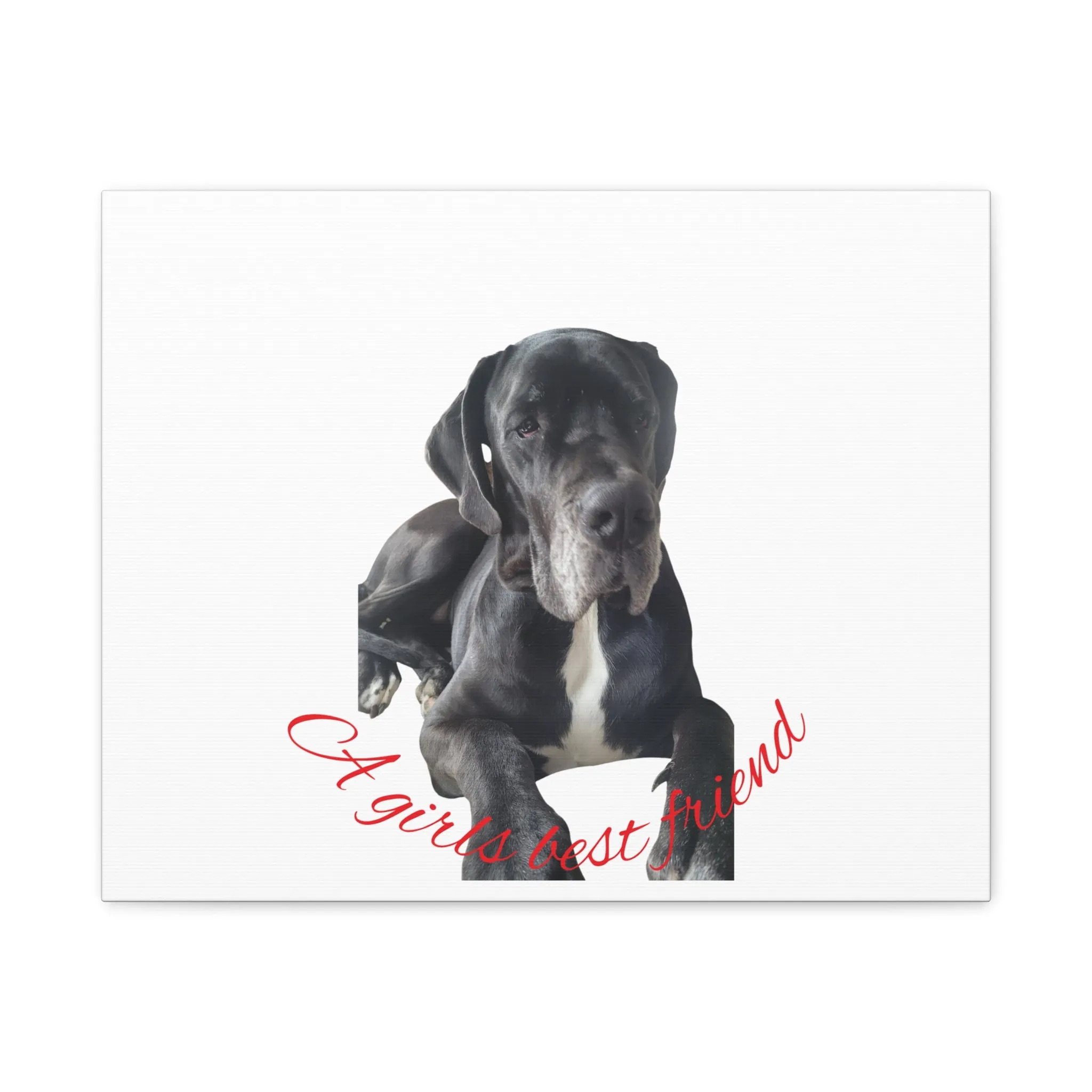 Personalized Dog Portrait Canvas Art - Custom Matte Wall Decor