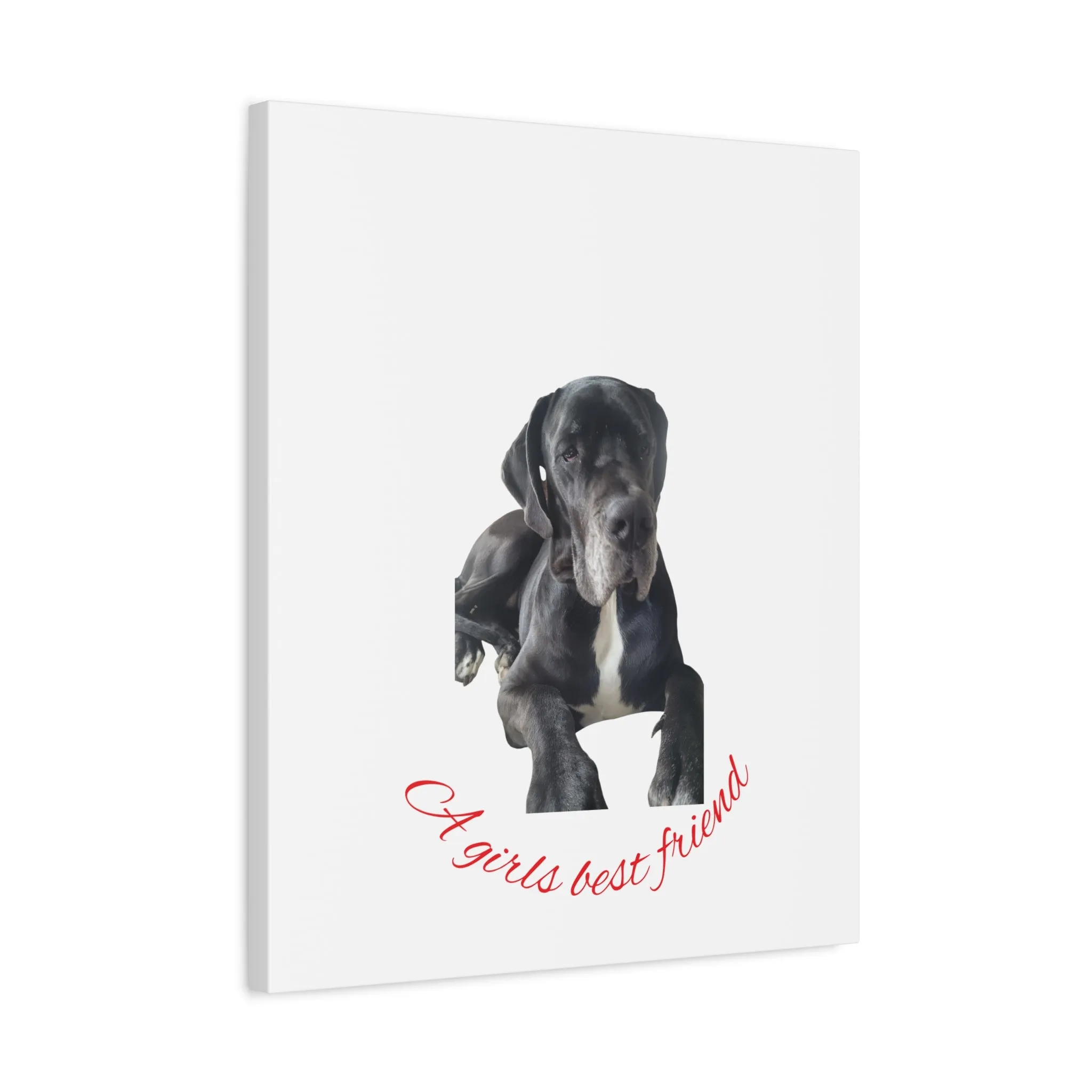 Personalized Dog Portrait Canvas Art - Custom Matte Wall Decor