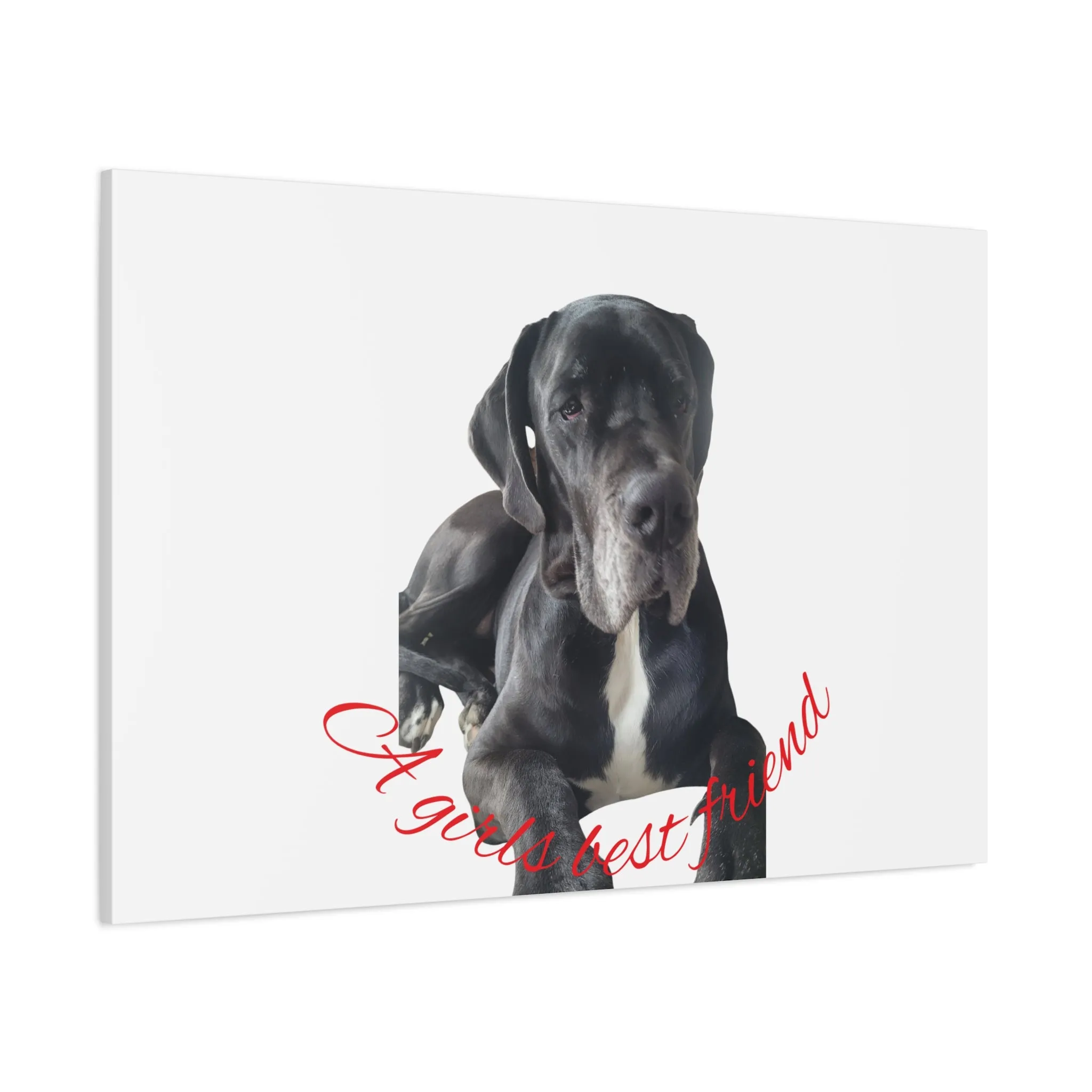Personalized Dog Portrait Canvas Art - Custom Matte Wall Decor