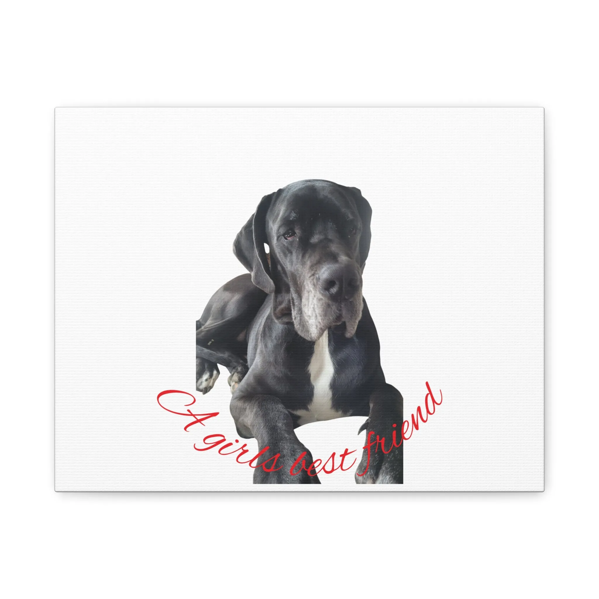 Personalized Dog Portrait Canvas Art - Custom Matte Wall Decor