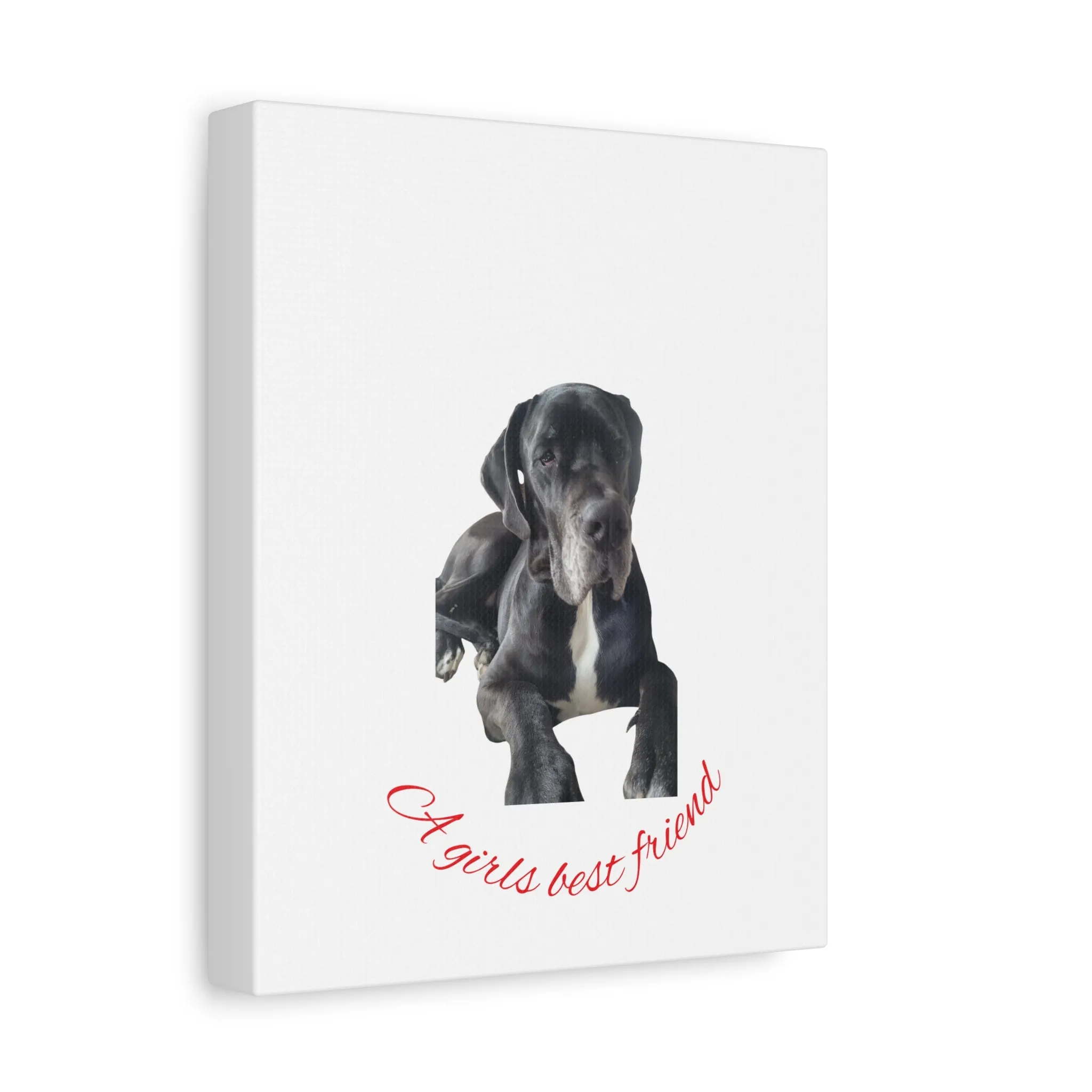 Personalized Dog Portrait Canvas Art - Custom Matte Wall Decor