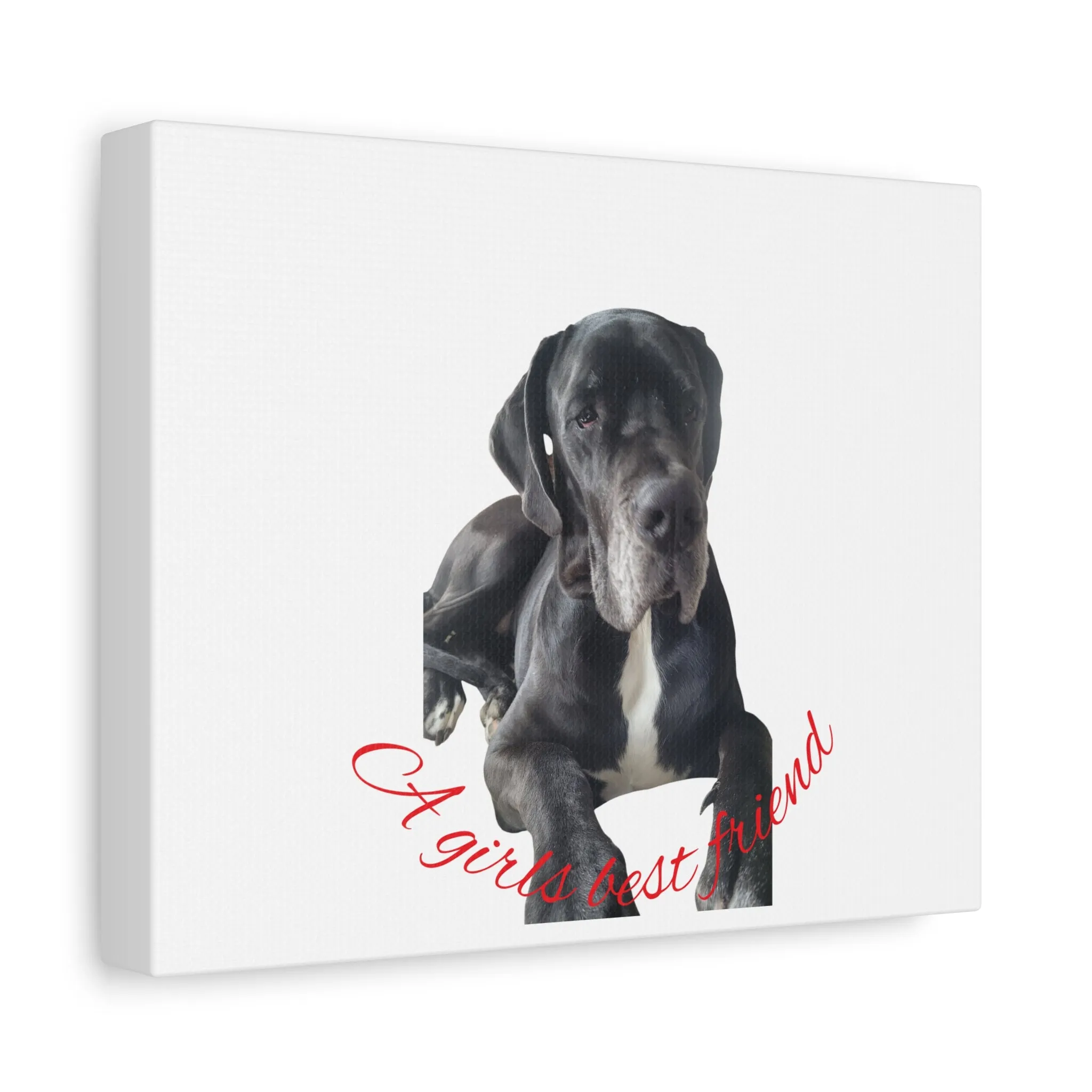 Personalized Dog Portrait Canvas Art - Custom Matte Wall Decor