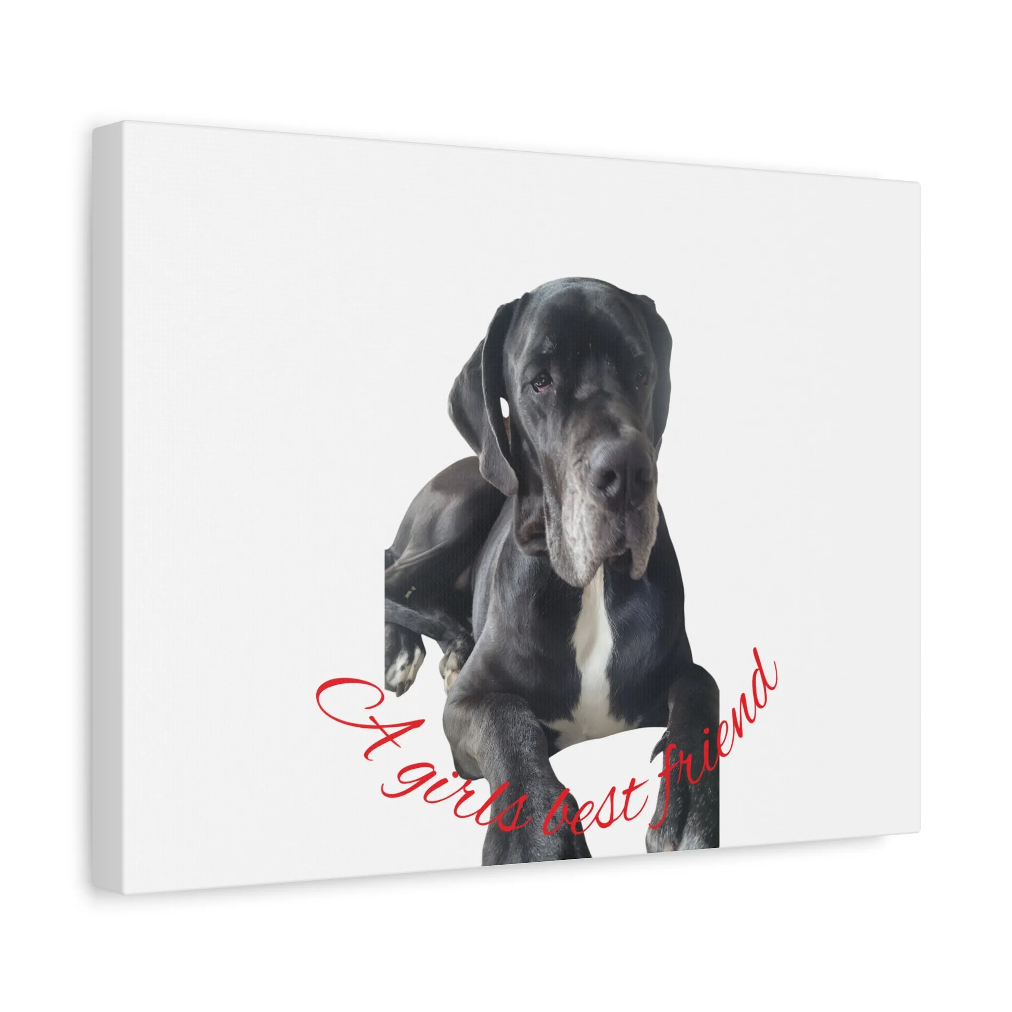 Personalized Dog Portrait Canvas Art - Custom Matte Wall Decor