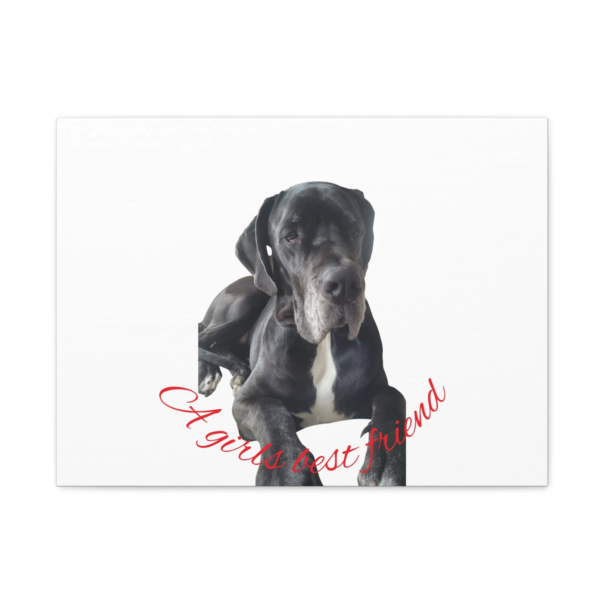 Personalized Dog Portrait Canvas Art - Custom Matte Wall Decor