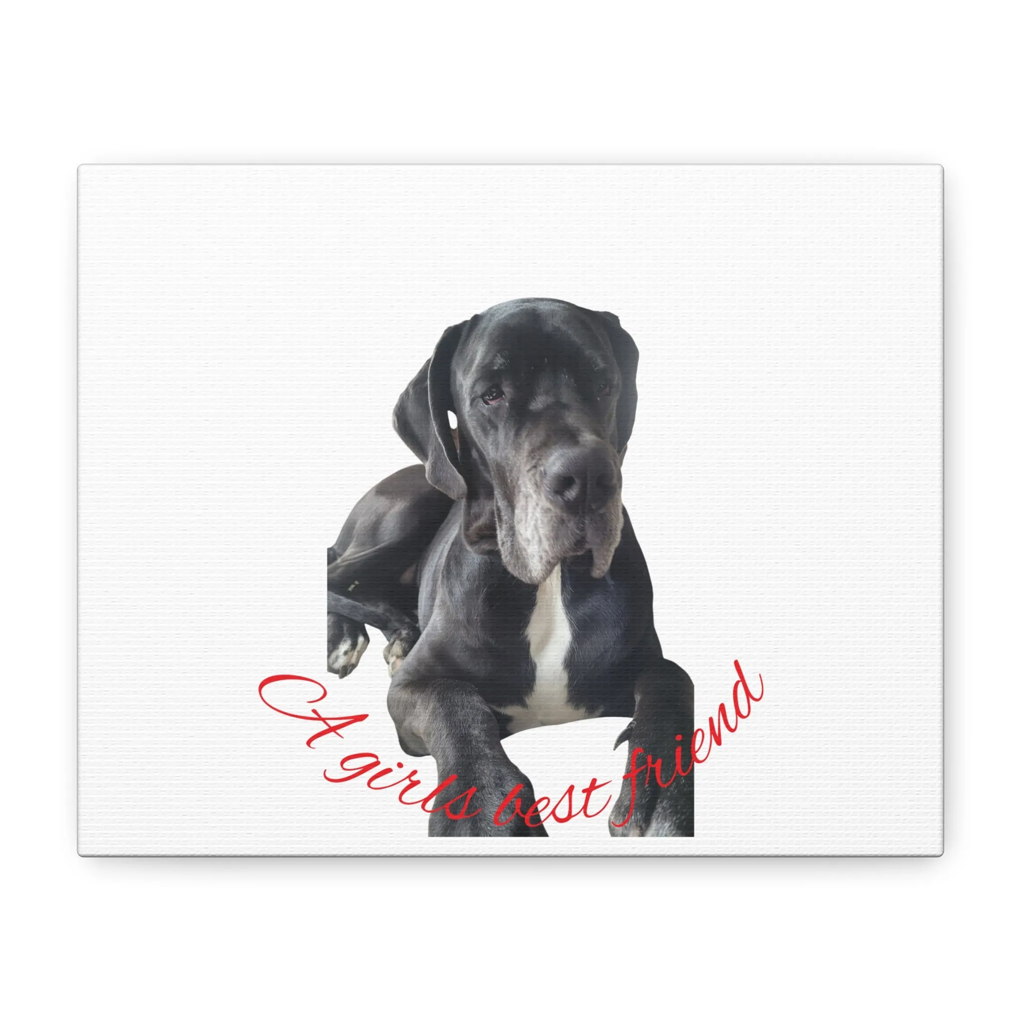 Personalized Dog Portrait Canvas Art - Custom Matte Wall Decor