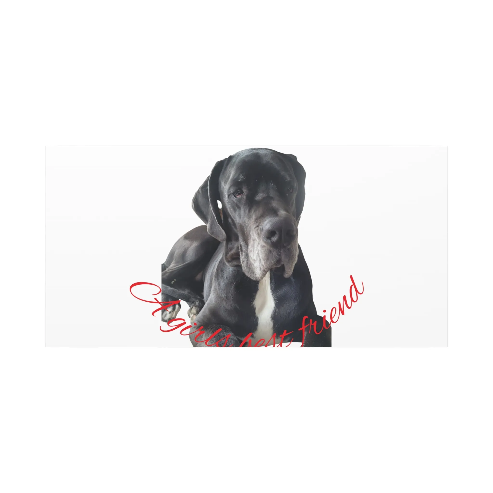 Personalized Dog Portrait Canvas Art - Custom Matte Wall Decor