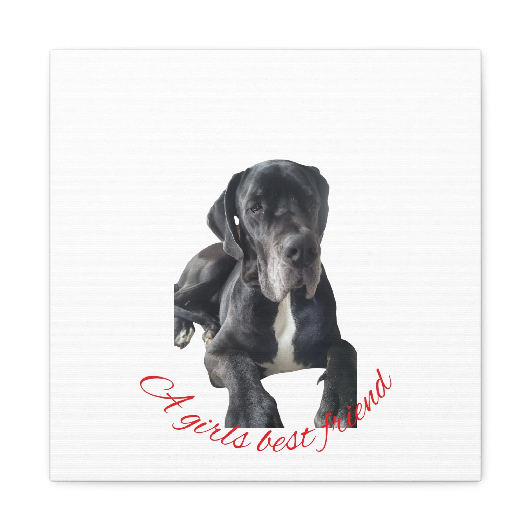 Personalized Dog Portrait Canvas Art - Custom Matte Wall Decor