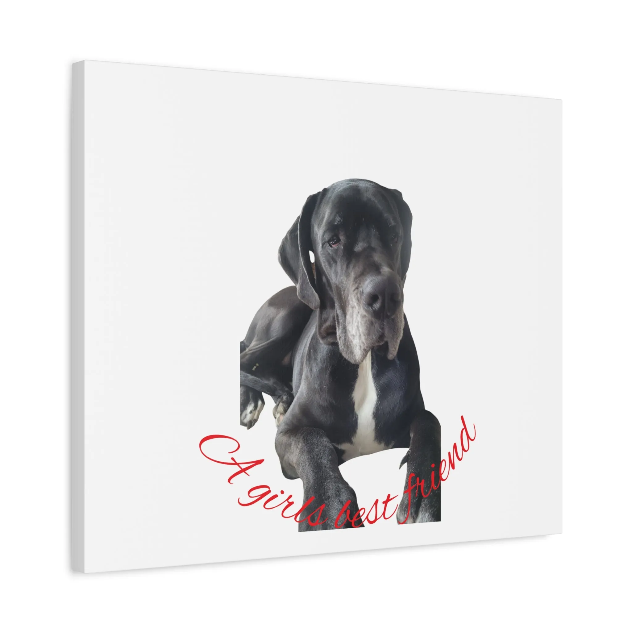 Personalized Dog Portrait Canvas Art - Custom Matte Wall Decor