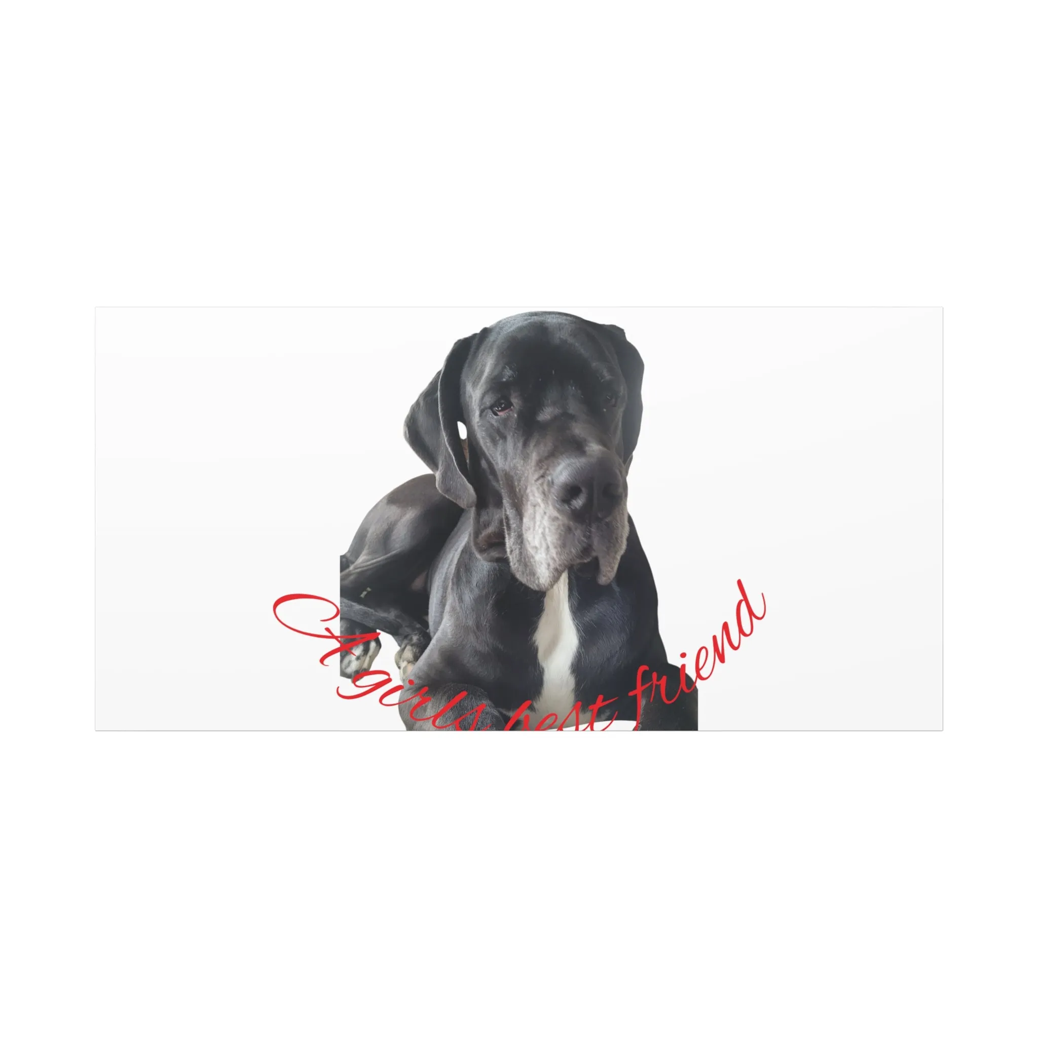 Personalized Dog Portrait Canvas Art - Custom Matte Wall Decor