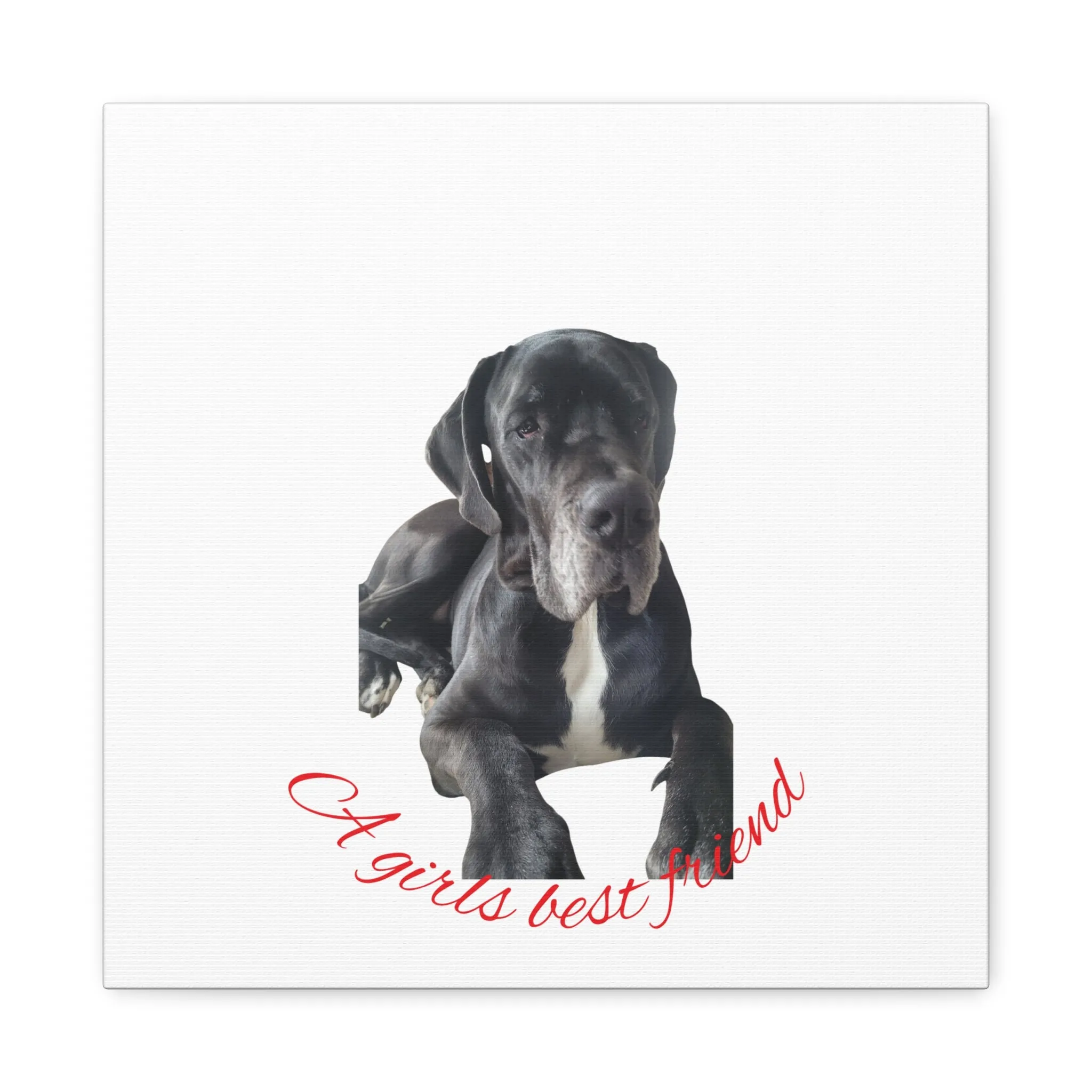 Personalized Dog Portrait Canvas Art - Custom Matte Wall Decor