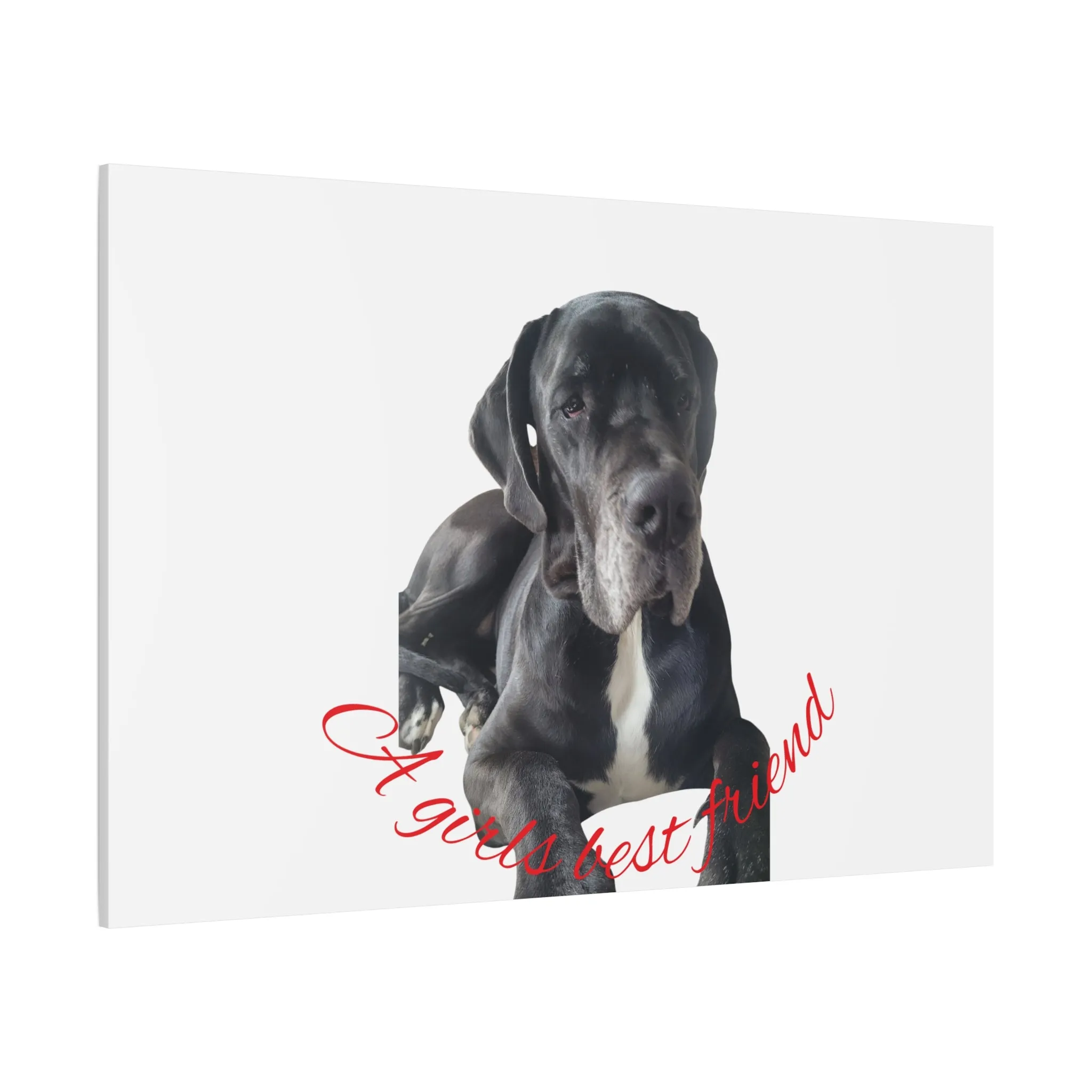 Personalized Dog Portrait Canvas Art - Custom Matte Wall Decor