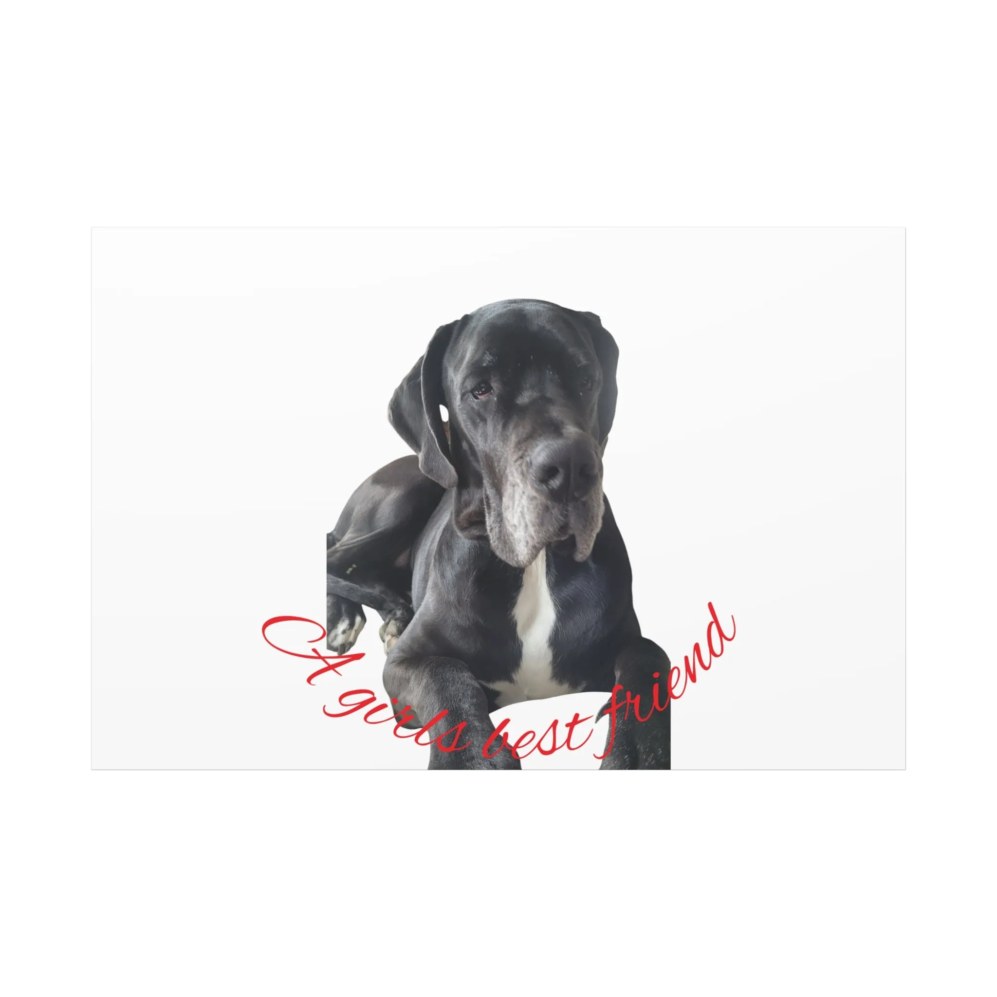 Personalized Dog Portrait Canvas Art - Custom Matte Wall Decor