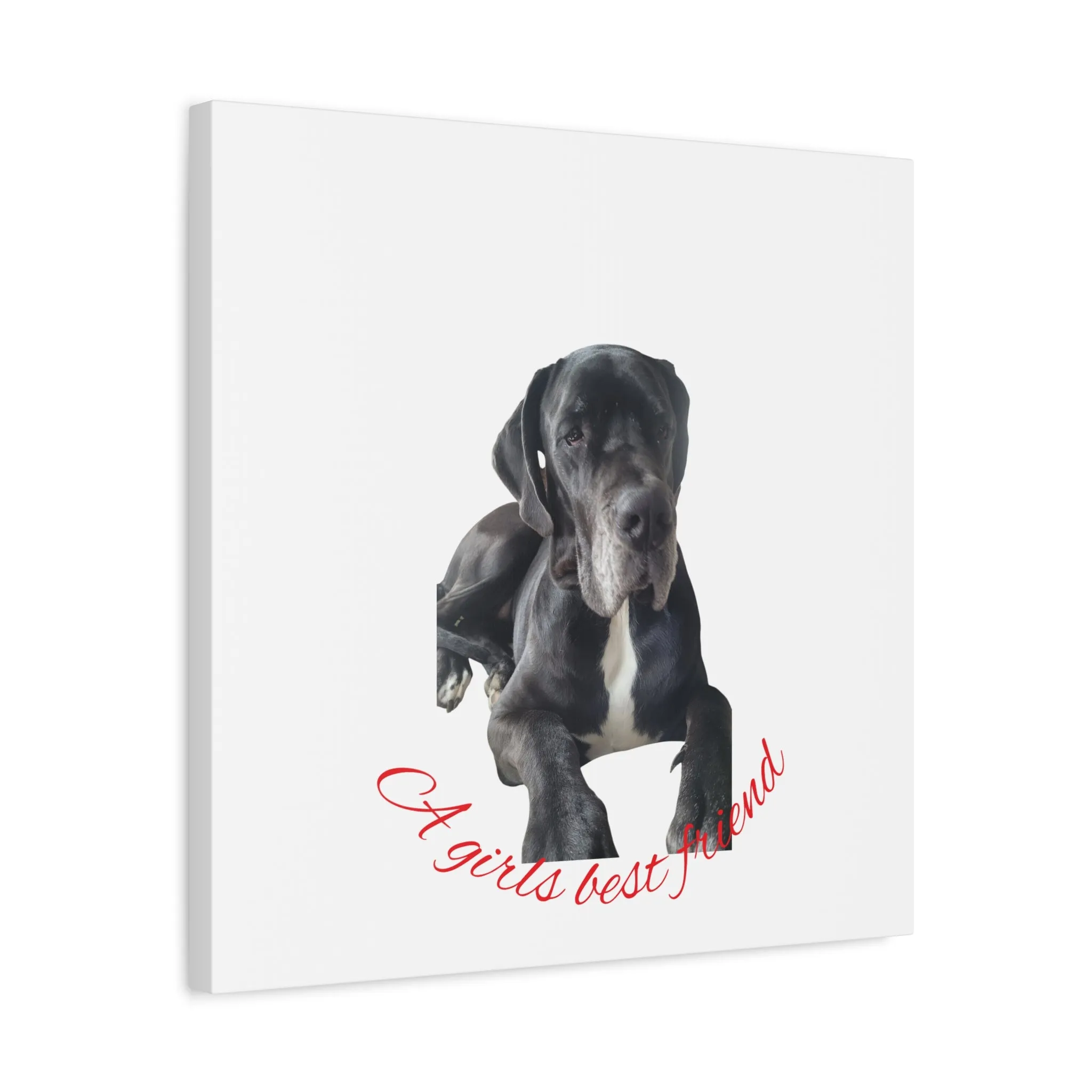 Personalized Dog Portrait Canvas Art - Custom Matte Wall Decor