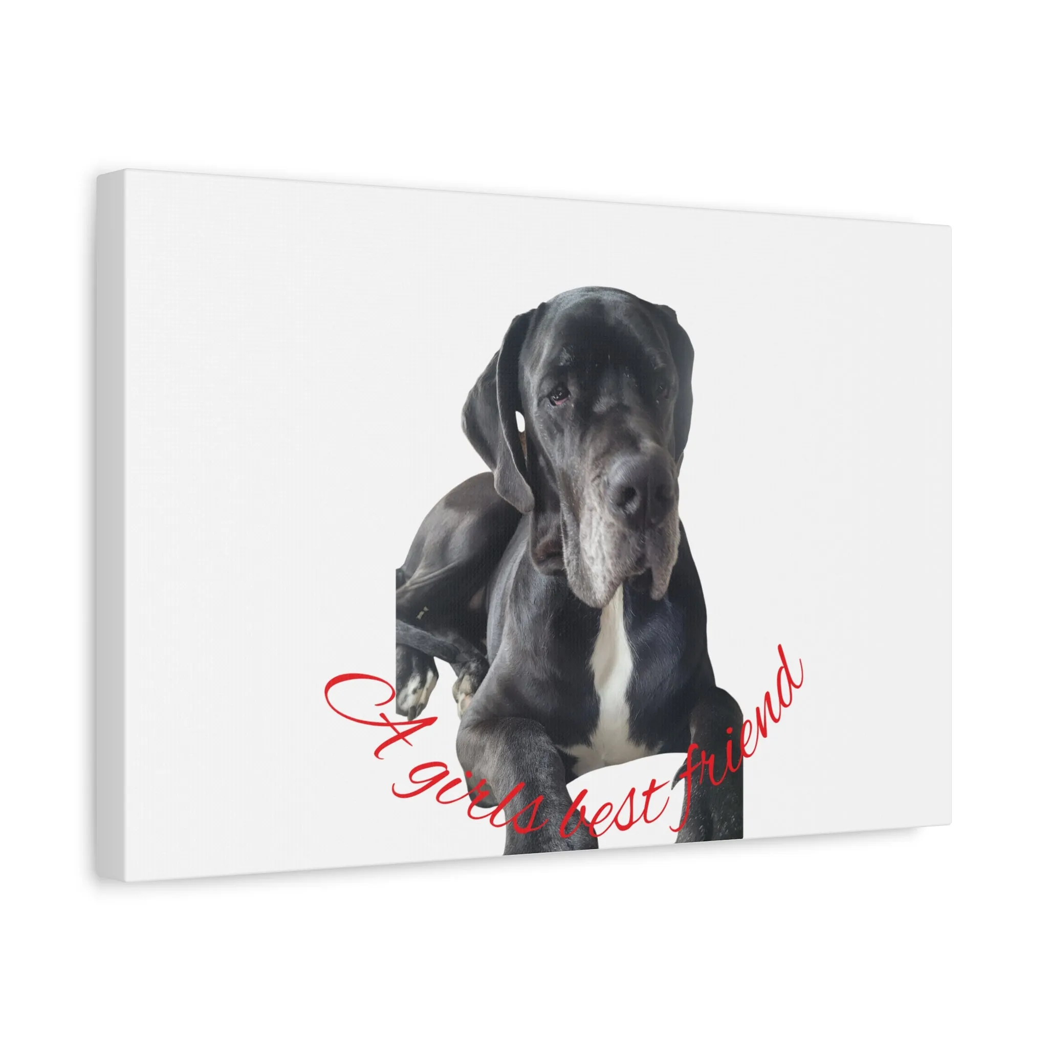 Personalized Dog Portrait Canvas Art - Custom Matte Wall Decor